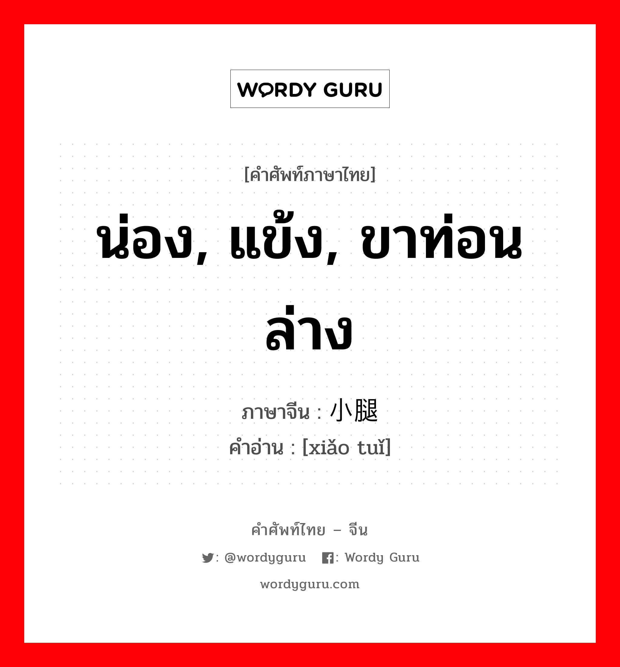 น่อง, แข้ง, ขาท่อนล่าง ภาษาจีนคืออะไร, คำศัพท์ภาษาไทย - จีน น่อง, แข้ง, ขาท่อนล่าง ภาษาจีน 小腿 คำอ่าน [xiǎo tuǐ]