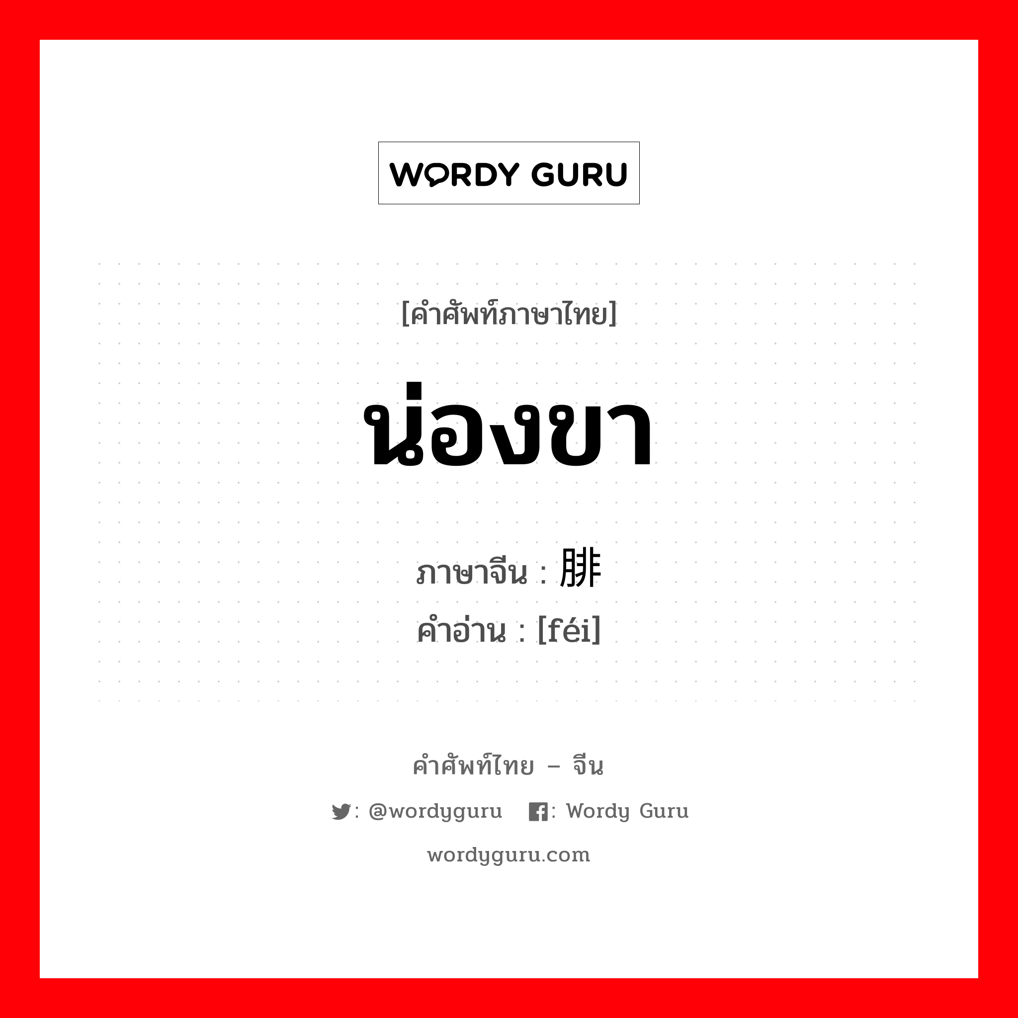 น่องขา ภาษาจีนคืออะไร, คำศัพท์ภาษาไทย - จีน น่องขา ภาษาจีน 腓 คำอ่าน [féi]