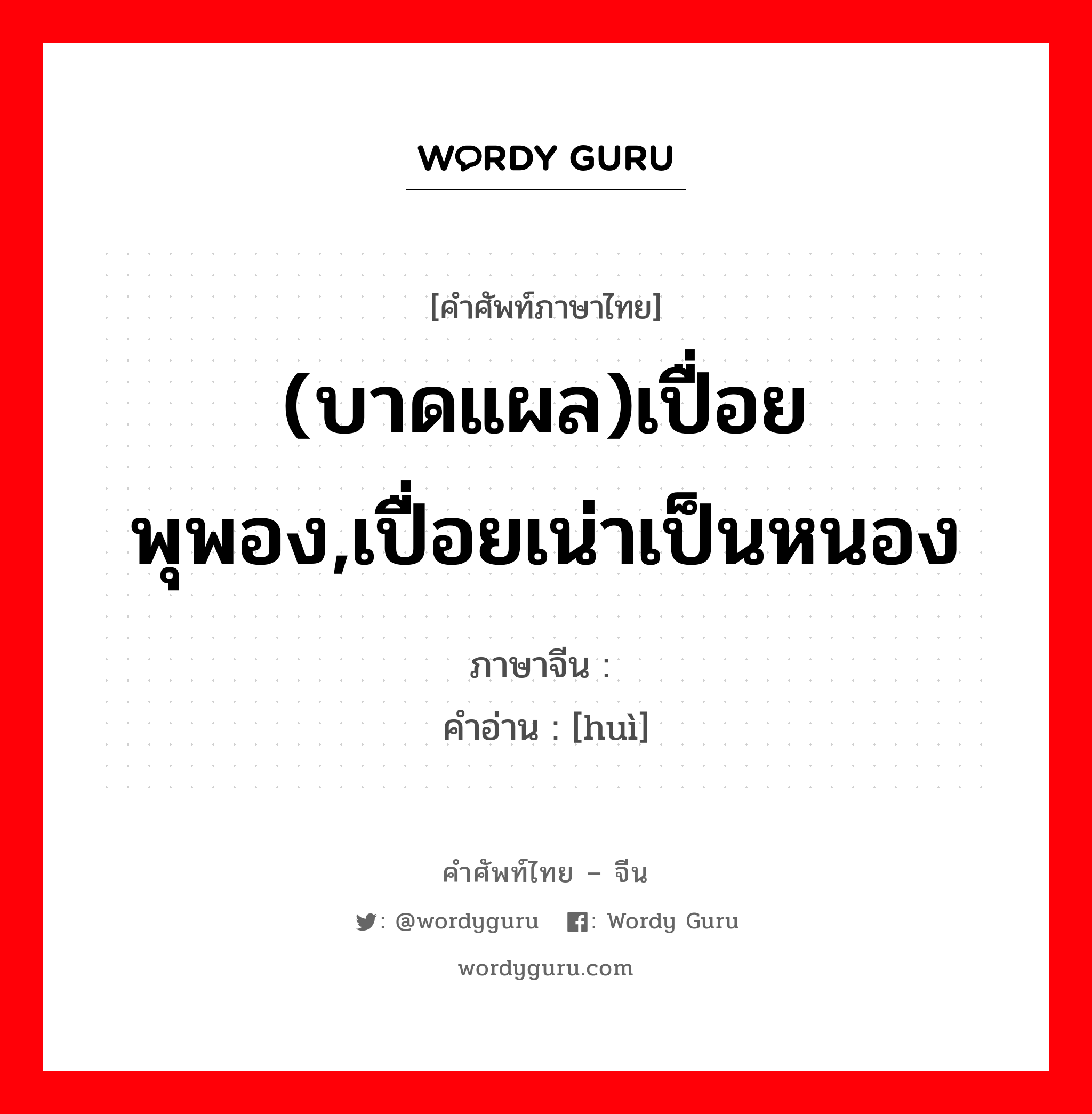 (บาดแผล)เปื่อยพุพอง,เปื่อยเน่าเป็นหนอง ภาษาจีนคืออะไร, คำศัพท์ภาษาไทย - จีน (บาดแผล)เปื่อยพุพอง,เปื่อยเน่าเป็นหนอง ภาษาจีน 溃 คำอ่าน [huì]