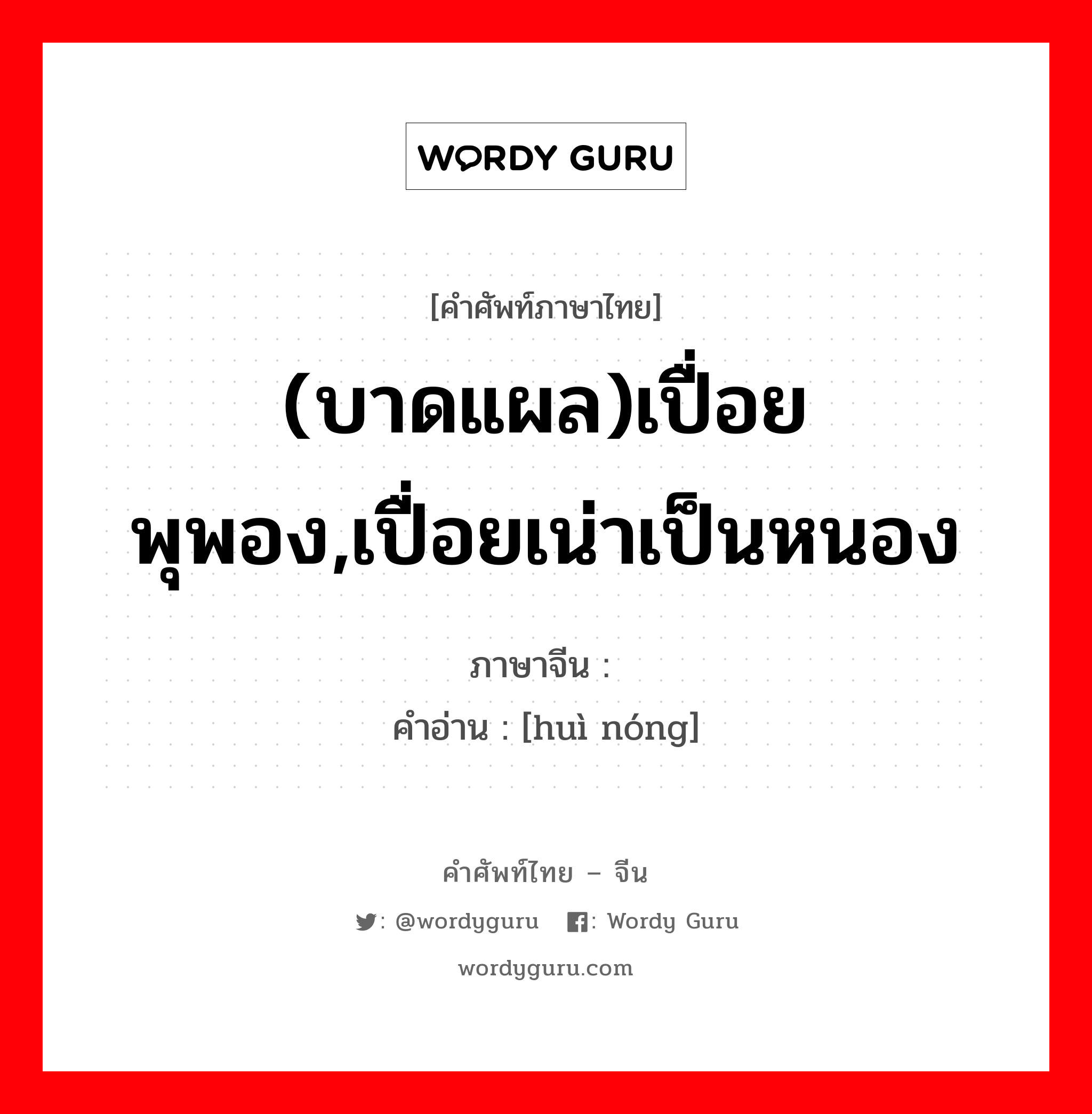 (บาดแผล)เปื่อยพุพอง,เปื่อยเน่าเป็นหนอง ภาษาจีนคืออะไร, คำศัพท์ภาษาไทย - จีน (บาดแผล)เปื่อยพุพอง,เปื่อยเน่าเป็นหนอง ภาษาจีน 溃脓 คำอ่าน [huì nóng]