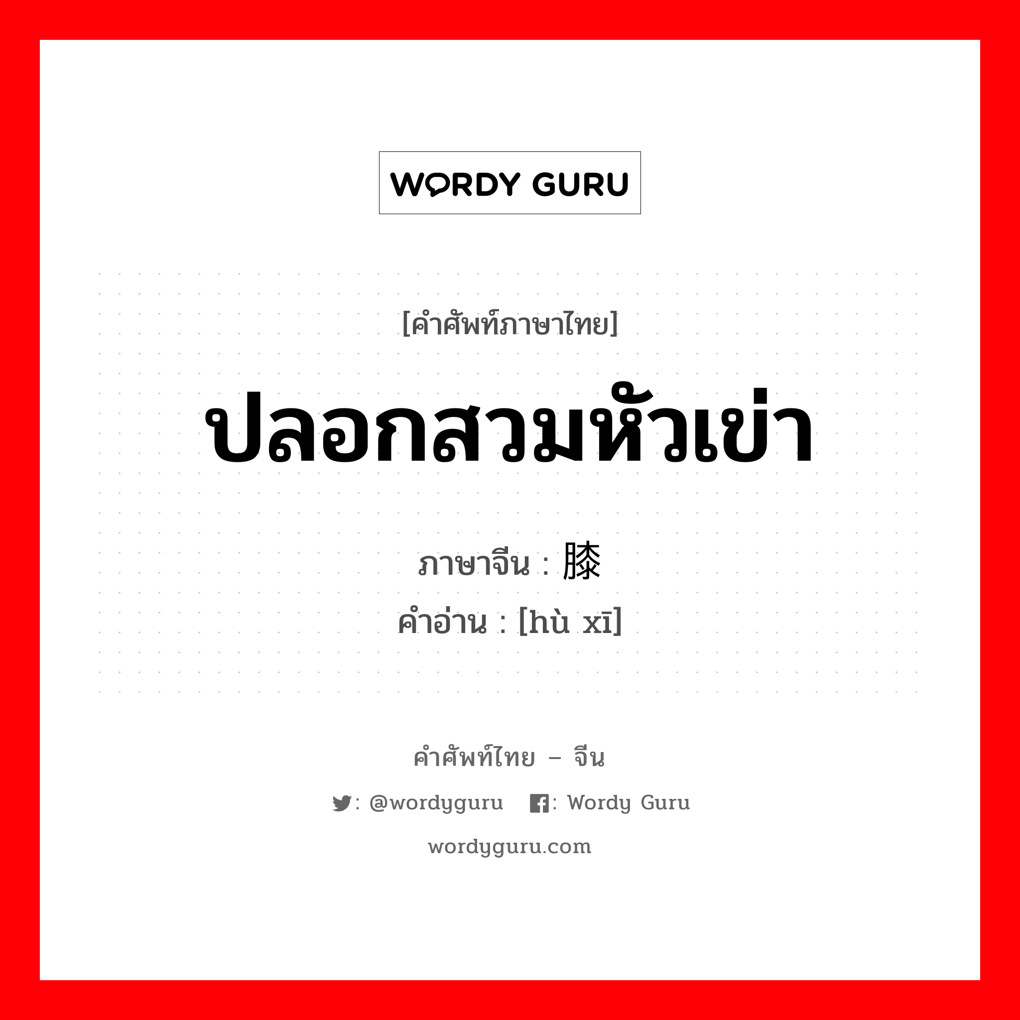 ปลอกสวมหัวเข่า ภาษาจีนคืออะไร, คำศัพท์ภาษาไทย - จีน ปลอกสวมหัวเข่า ภาษาจีน 护膝 คำอ่าน [hù xī]