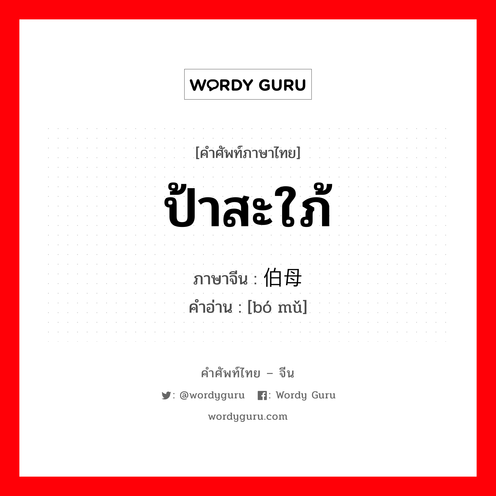 ป้าสะใภ้ ภาษาจีนคืออะไร, คำศัพท์ภาษาไทย - จีน ป้าสะใภ้ ภาษาจีน 伯母 คำอ่าน [bó mǔ]