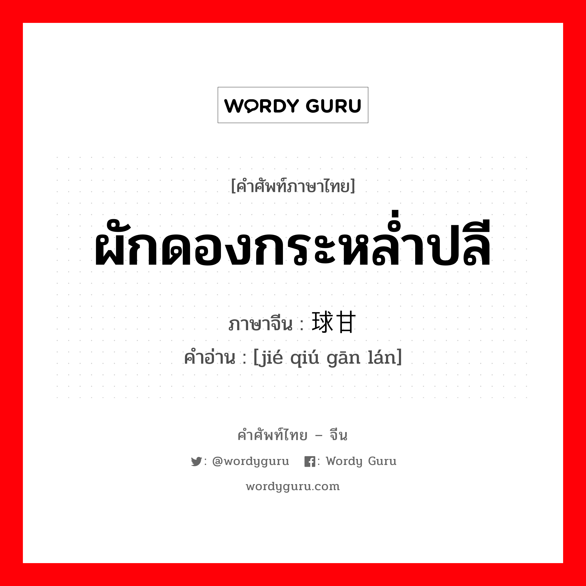 ผักดองกระหล่ำปลี ภาษาจีนคืออะไร, คำศัพท์ภาษาไทย - จีน ผักดองกระหล่ำปลี ภาษาจีน 结球甘蓝 คำอ่าน [jié qiú gān lán]