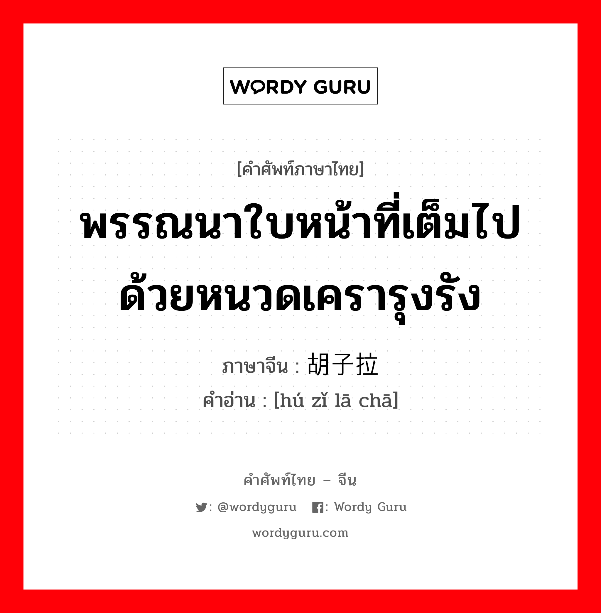 พรรณนาใบหน้าที่เต็มไปด้วยหนวดเครารุงรัง ภาษาจีนคืออะไร, คำศัพท์ภาษาไทย - จีน พรรณนาใบหน้าที่เต็มไปด้วยหนวดเครารุงรัง ภาษาจีน 胡子拉碴 คำอ่าน [hú zǐ lā chā]