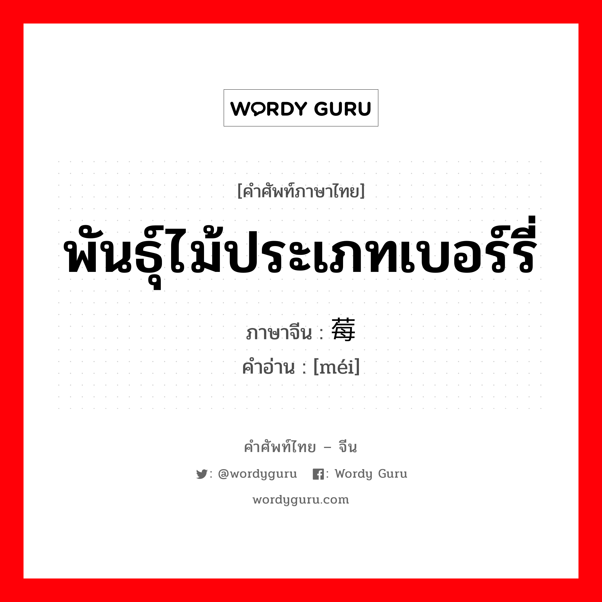 พันธุ์ไม้ประเภทเบอร์รี่ ภาษาจีนคืออะไร, คำศัพท์ภาษาไทย - จีน พันธุ์ไม้ประเภทเบอร์รี่ ภาษาจีน 莓 คำอ่าน [méi]