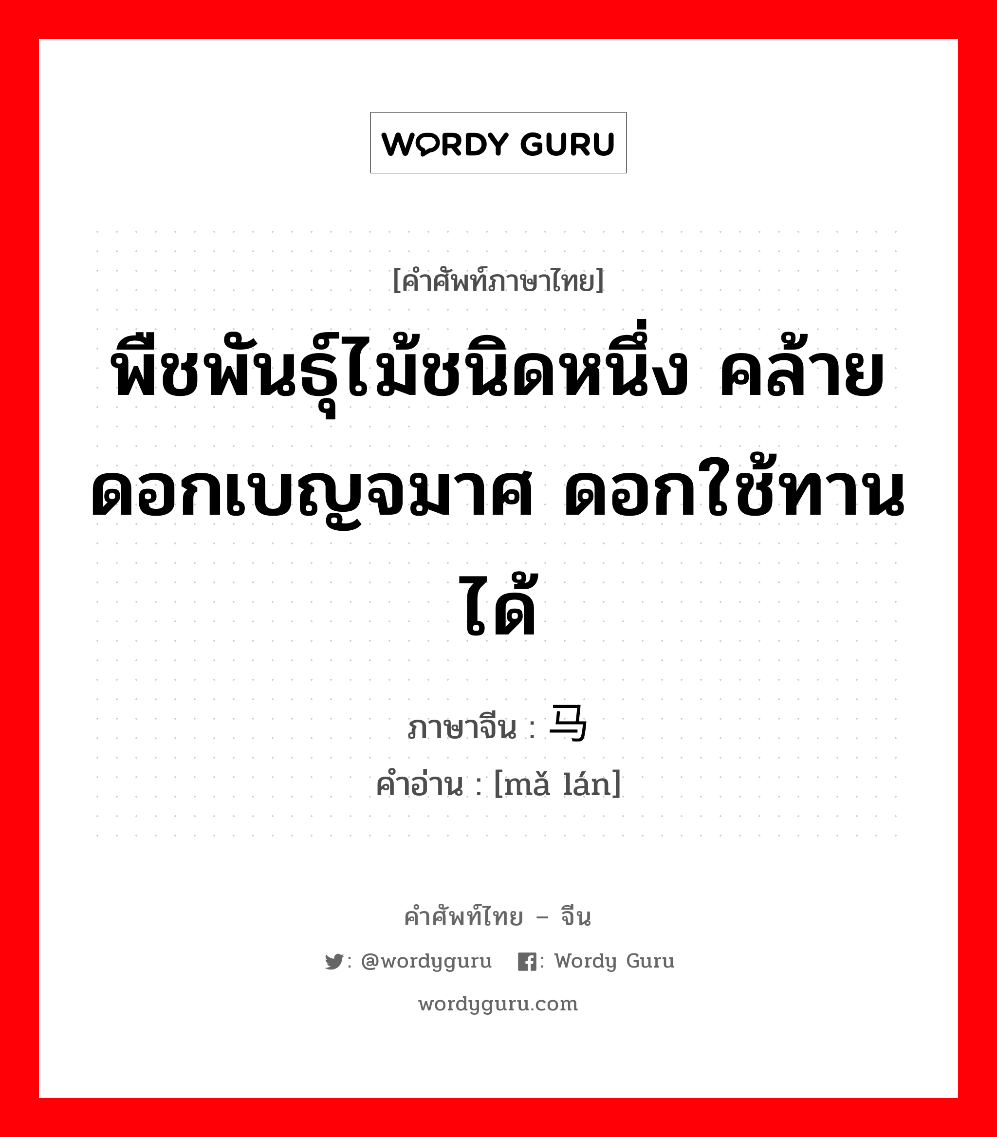 พืชพันธุ์ไม้ชนิดหนึ่ง คล้ายดอกเบญจมาศ ดอกใช้ทานได้ ภาษาจีนคืออะไร, คำศัพท์ภาษาไทย - จีน พืชพันธุ์ไม้ชนิดหนึ่ง คล้ายดอกเบญจมาศ ดอกใช้ทานได้ ภาษาจีน 马兰 คำอ่าน [mǎ lán]