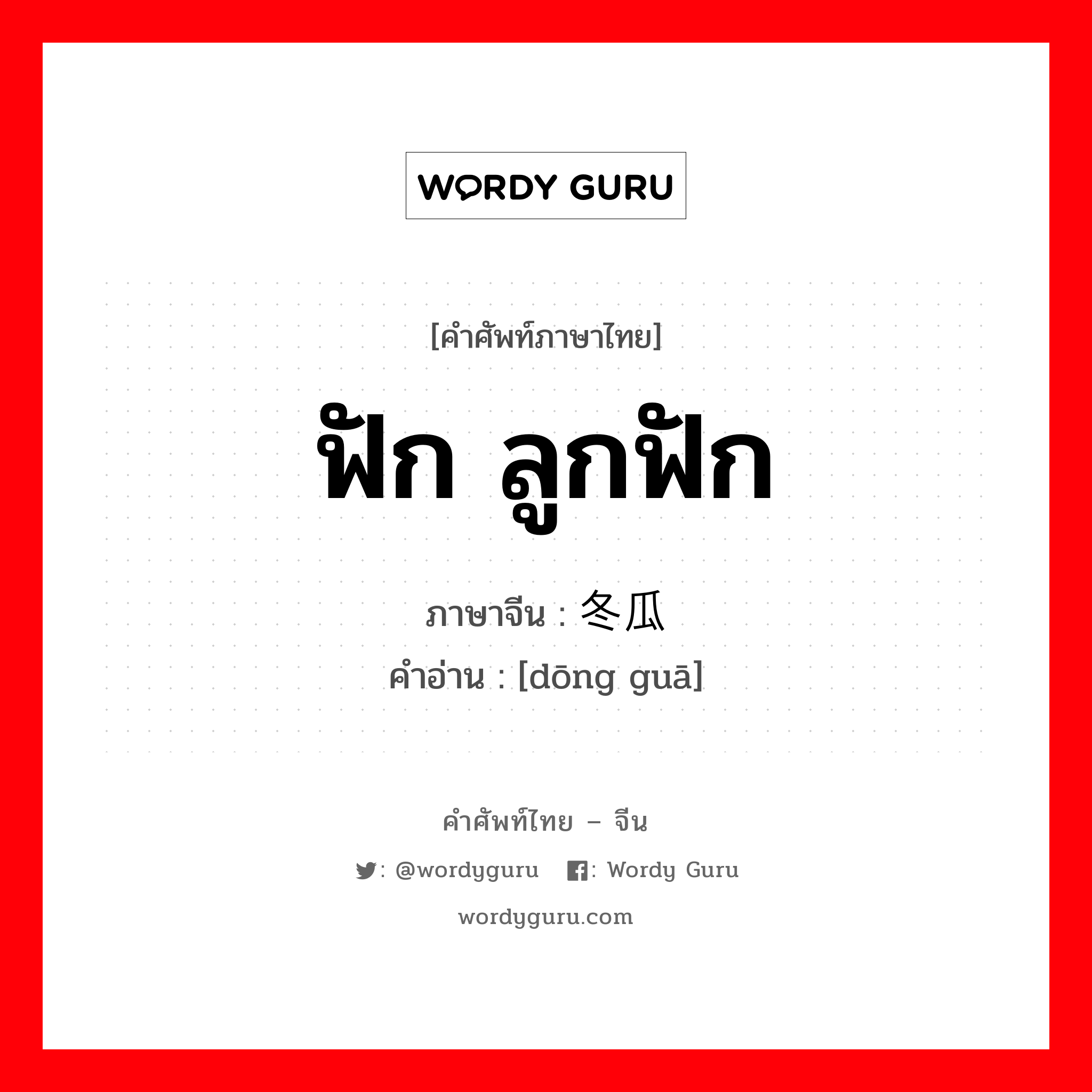 ฟัก ลูกฟัก ภาษาจีนคืออะไร, คำศัพท์ภาษาไทย - จีน ฟัก ลูกฟัก ภาษาจีน 冬瓜 คำอ่าน [dōng guā]