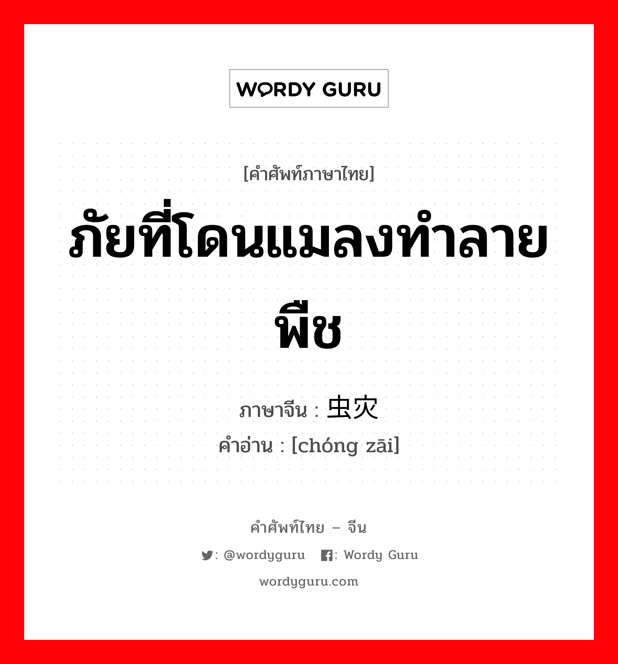 ภัยที่โดนแมลงทำลายพืช ภาษาจีนคืออะไร, คำศัพท์ภาษาไทย - จีน ภัยที่โดนแมลงทำลายพืช ภาษาจีน 虫灾 คำอ่าน [chóng zāi]