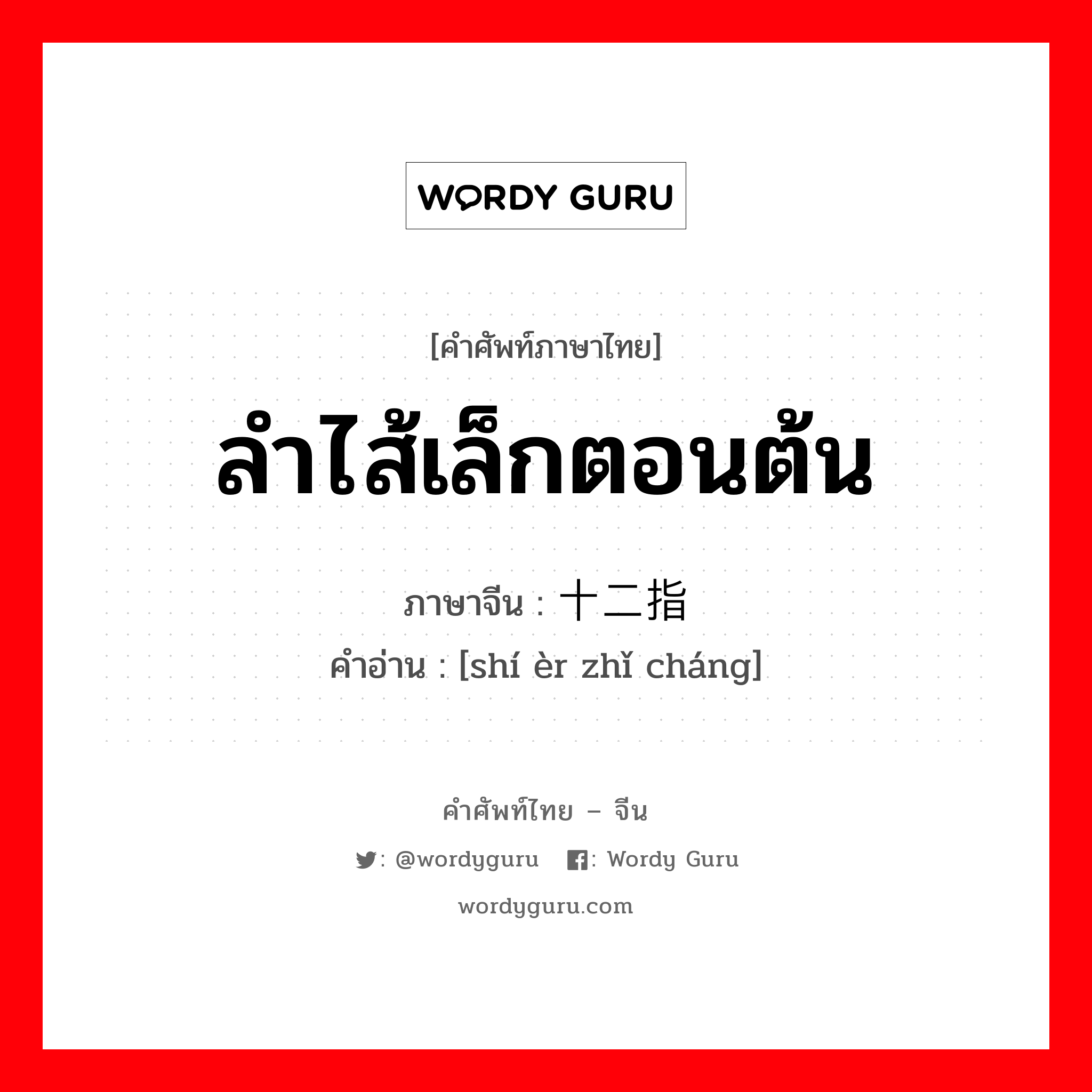 ลำไส้เล็กตอนต้น ภาษาจีนคืออะไร, คำศัพท์ภาษาไทย - จีน ลำไส้เล็กตอนต้น ภาษาจีน 十二指肠 คำอ่าน [shí èr zhǐ cháng]