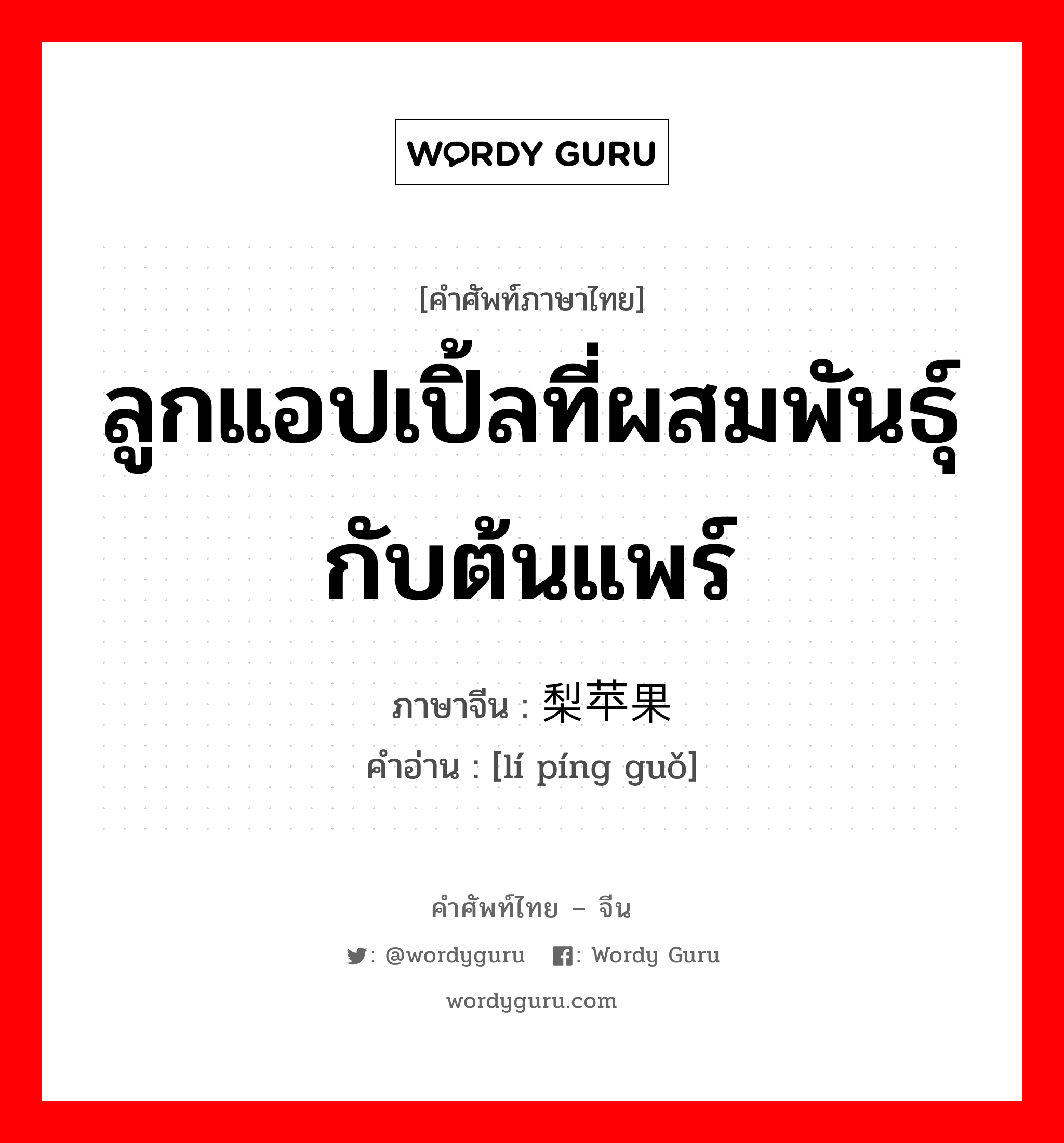 ลูกแอปเปิ้ลที่ผสมพันธุ์กับต้นแพร์ ภาษาจีนคืออะไร, คำศัพท์ภาษาไทย - จีน ลูกแอปเปิ้ลที่ผสมพันธุ์กับต้นแพร์ ภาษาจีน 梨苹果 คำอ่าน [lí píng guǒ]