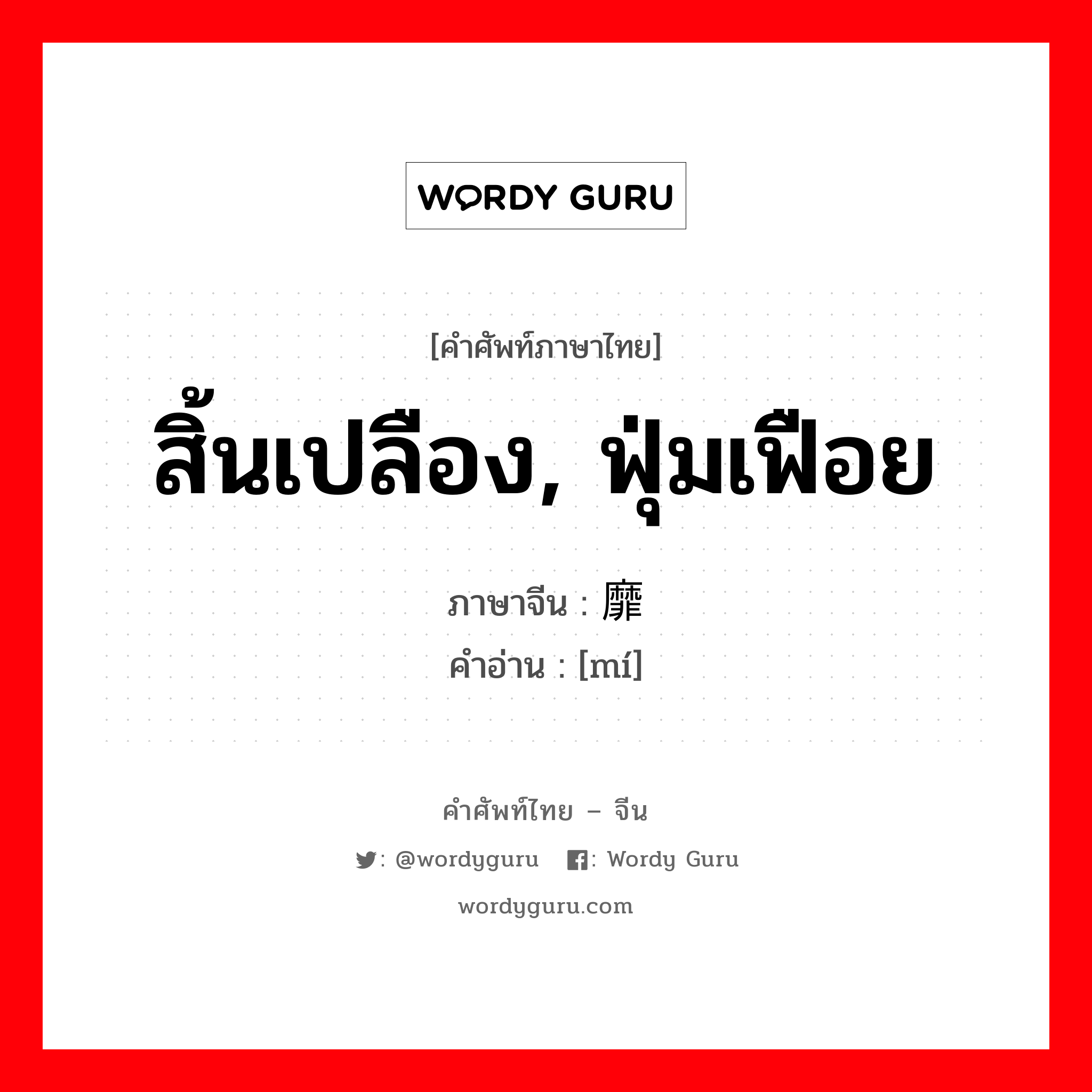 สิ้นเปลือง, ฟุ่มเฟือย ภาษาจีนคืออะไร, คำศัพท์ภาษาไทย - จีน สิ้นเปลือง, ฟุ่มเฟือย ภาษาจีน 靡 คำอ่าน [mí]