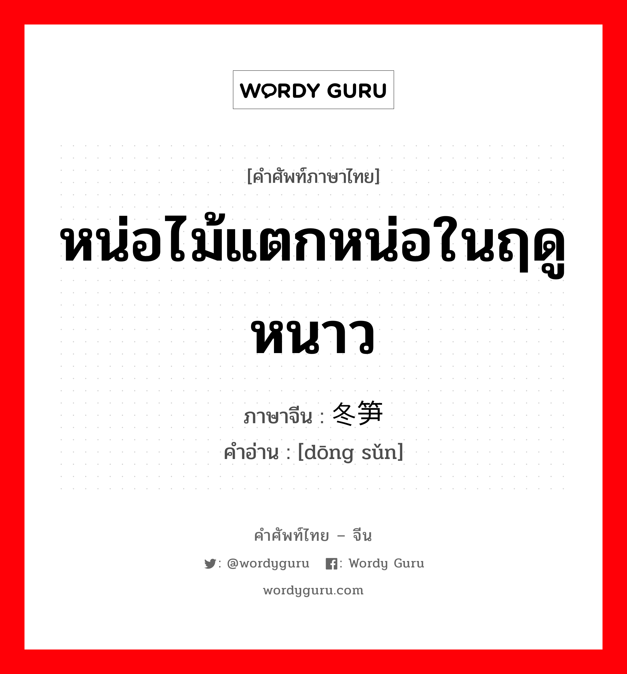 หน่อไม้แตกหน่อในฤดูหนาว ภาษาจีนคืออะไร, คำศัพท์ภาษาไทย - จีน หน่อไม้แตกหน่อในฤดูหนาว ภาษาจีน 冬笋 คำอ่าน [dōng sǔn]