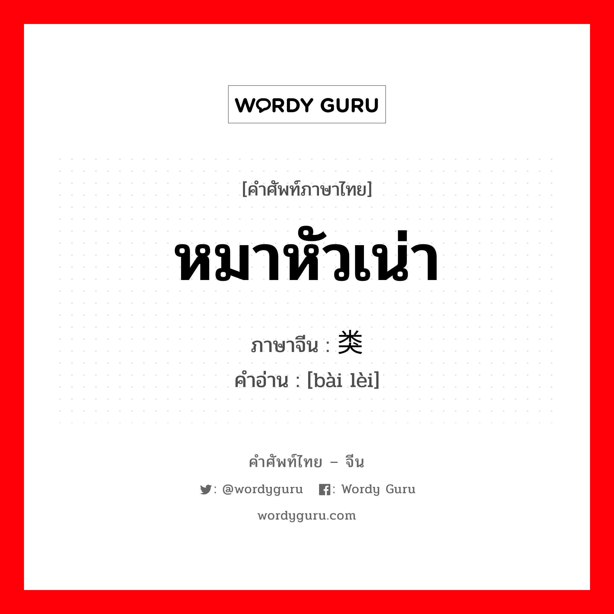 หมาหัวเน่า ภาษาจีนคืออะไร, คำศัพท์ภาษาไทย - จีน หมาหัวเน่า ภาษาจีน 败类 คำอ่าน [bài lèi]