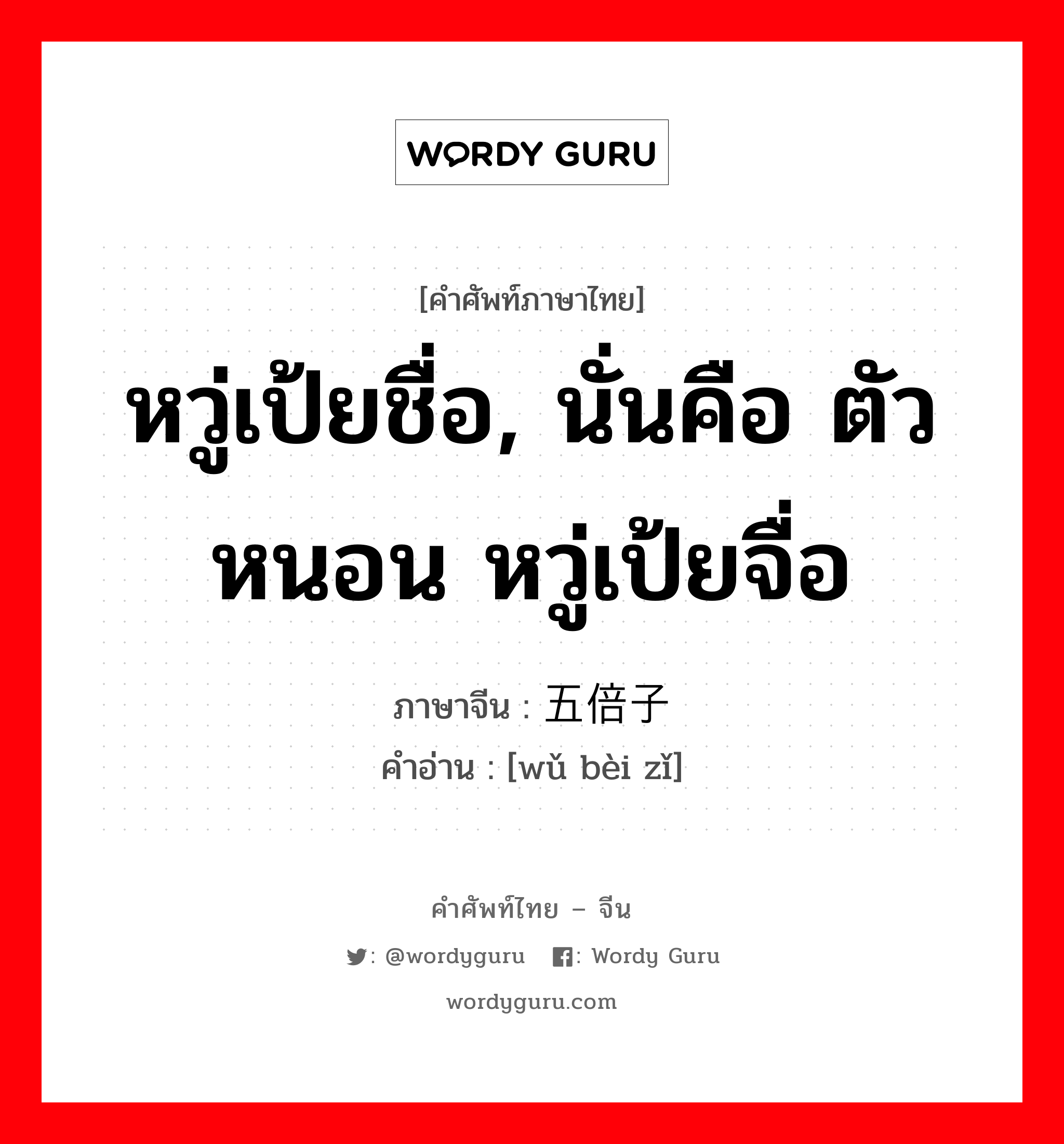 หวู่เป้ยชื่อ, นั่นคือ ตัวหนอน หวู่เป้ยจื่อ ภาษาจีนคืออะไร, คำศัพท์ภาษาไทย - จีน หวู่เป้ยชื่อ, นั่นคือ ตัวหนอน หวู่เป้ยจื่อ ภาษาจีน 五倍子 คำอ่าน [wǔ bèi zǐ]