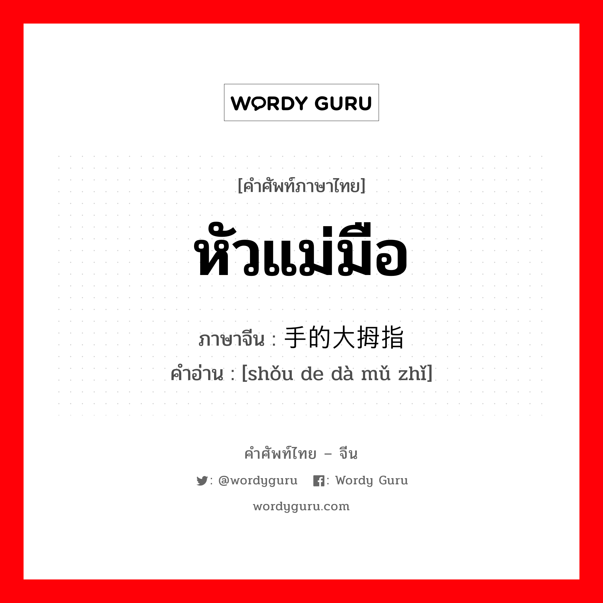 หัวแม่มือ ภาษาจีนคืออะไร, คำศัพท์ภาษาไทย - จีน หัวแม่มือ ภาษาจีน 手的大拇指 คำอ่าน [shǒu de dà mǔ zhǐ]