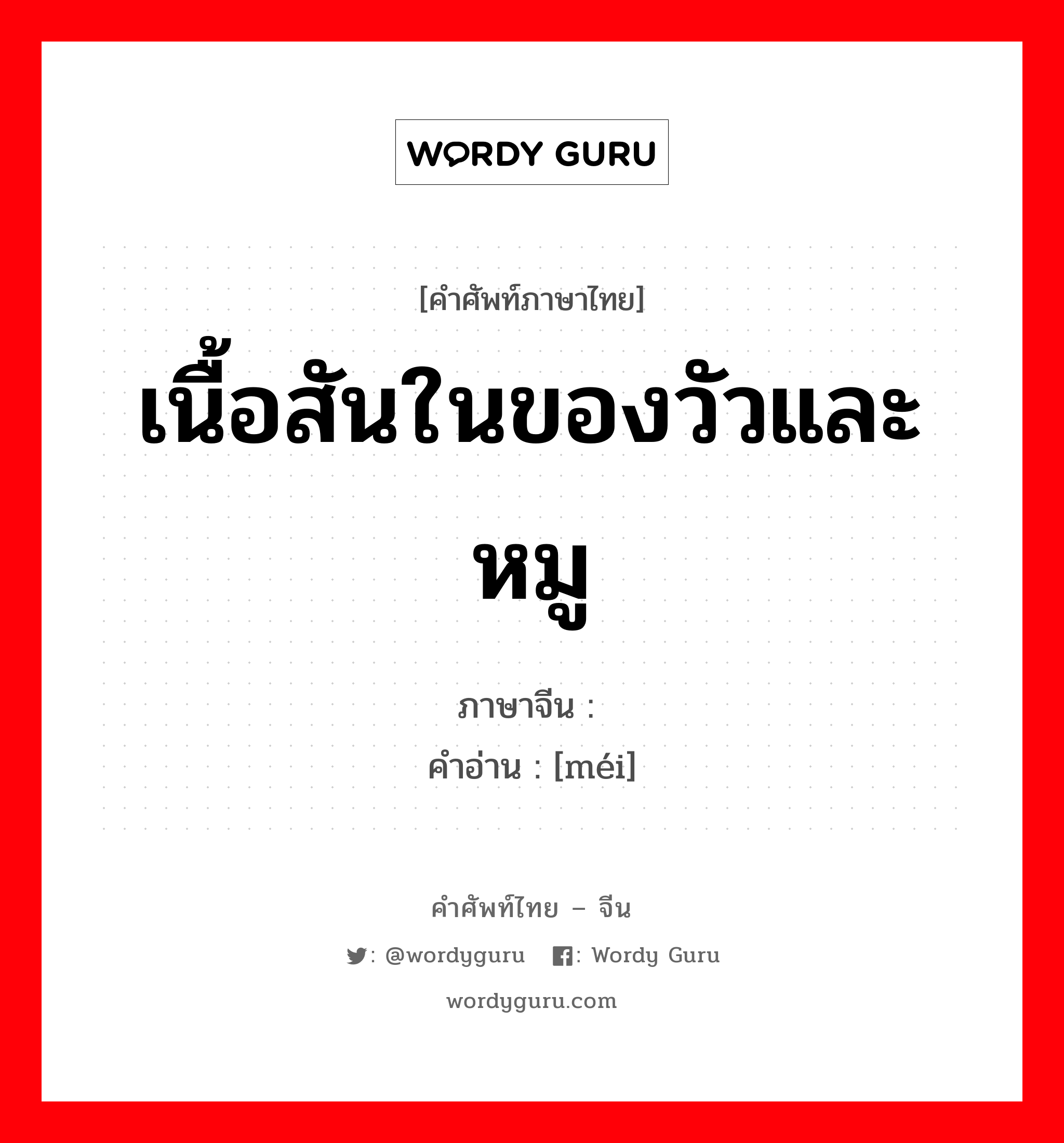 เนื้อสันในของวัวและหมู ภาษาจีนคืออะไร, คำศัพท์ภาษาไทย - จีน เนื้อสันในของวัวและหมู ภาษาจีน 脢 คำอ่าน [méi]