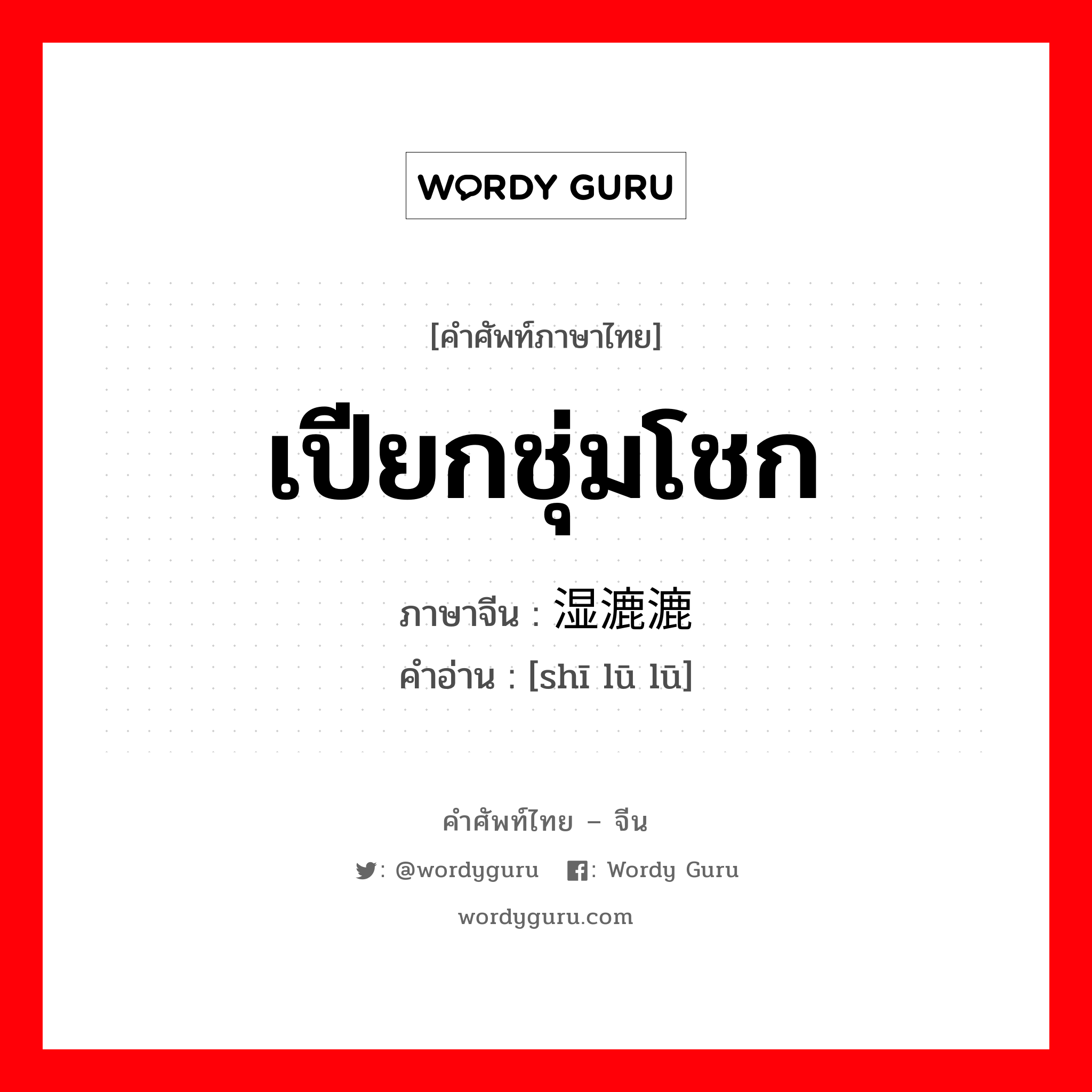 เปียกชุ่มโชก ภาษาจีนคืออะไร, คำศัพท์ภาษาไทย - จีน เปียกชุ่มโชก ภาษาจีน 湿漉漉 คำอ่าน [shī lū lū]