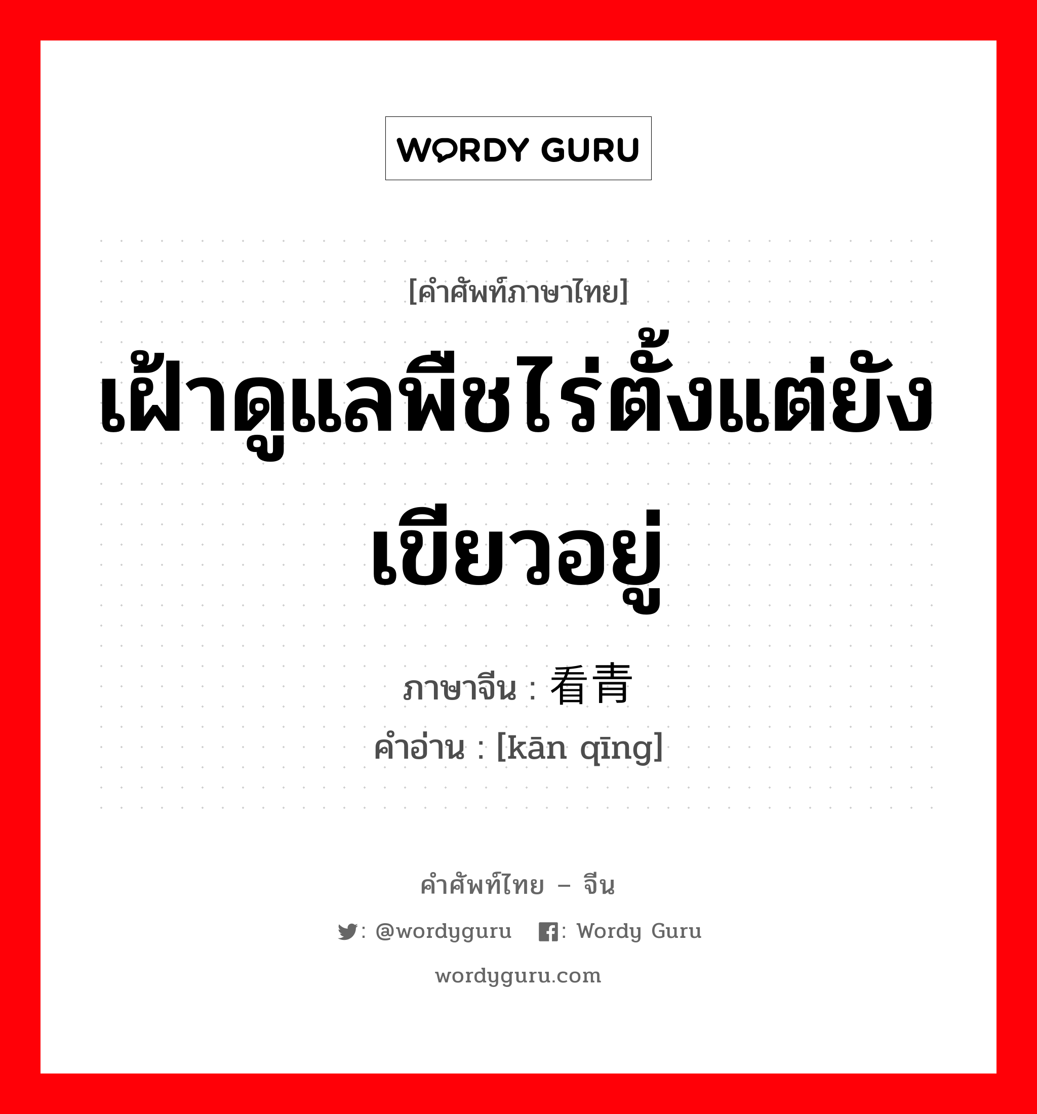 เฝ้าดูแลพืชไร่ตั้งแต่ยังเขียวอยู่ ภาษาจีนคืออะไร, คำศัพท์ภาษาไทย - จีน เฝ้าดูแลพืชไร่ตั้งแต่ยังเขียวอยู่ ภาษาจีน 看青 คำอ่าน [kān qīng]