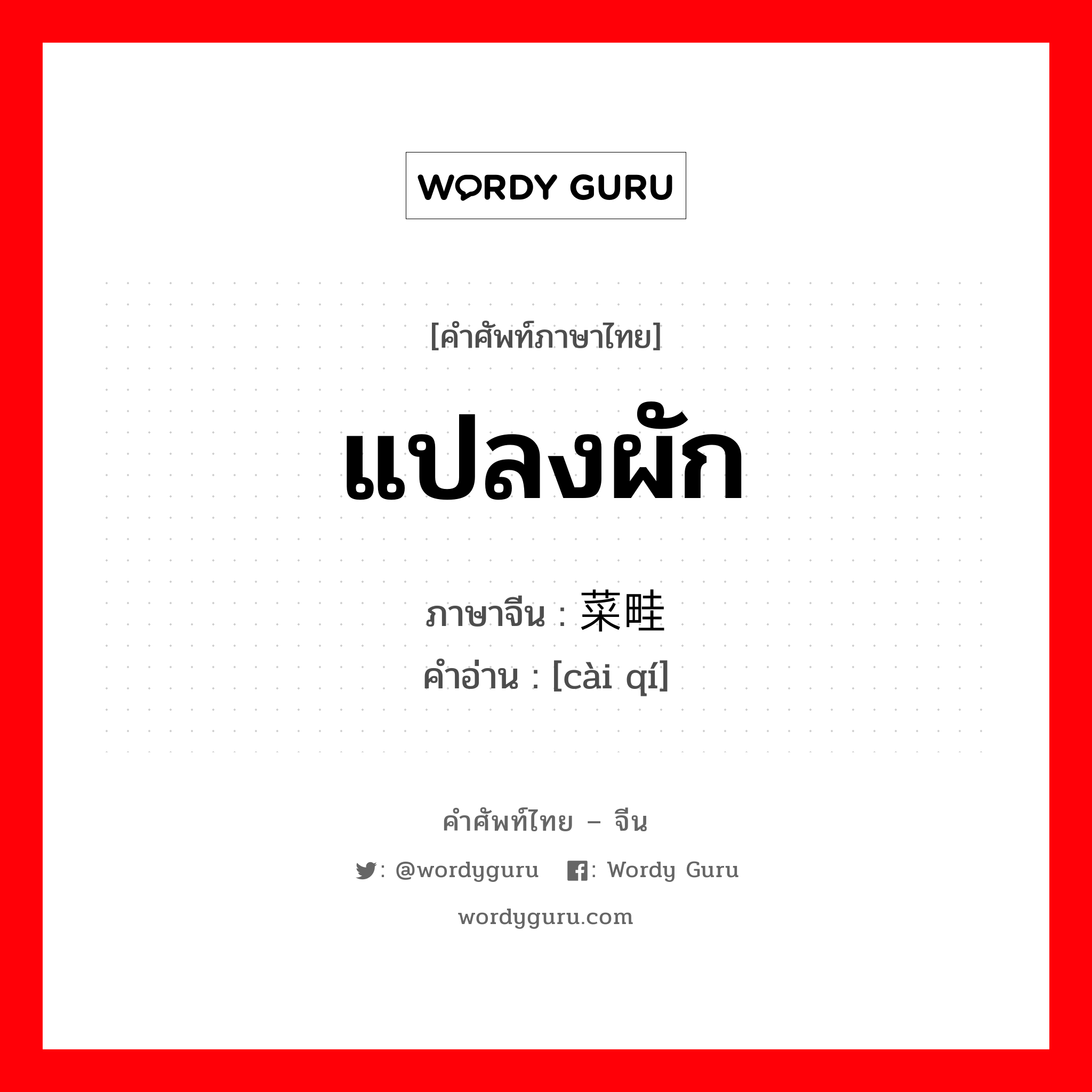 แปลงผัก ภาษาจีนคืออะไร, คำศัพท์ภาษาไทย - จีน แปลงผัก ภาษาจีน 菜畦 คำอ่าน [cài qí]