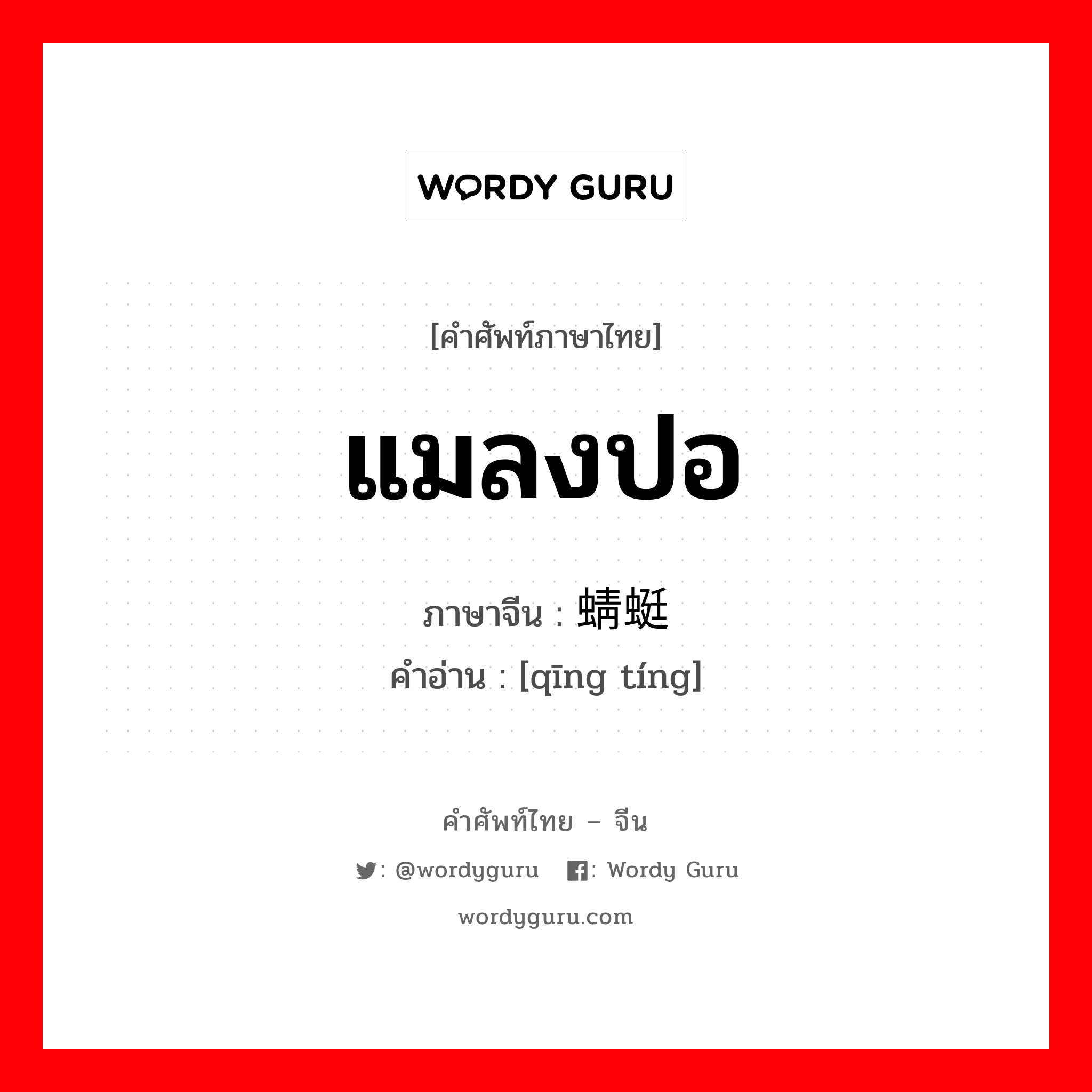 แมลงปอ ภาษาจีนคืออะไร, คำศัพท์ภาษาไทย - จีน แมลงปอ ภาษาจีน 蜻蜓 คำอ่าน [qīng tíng]