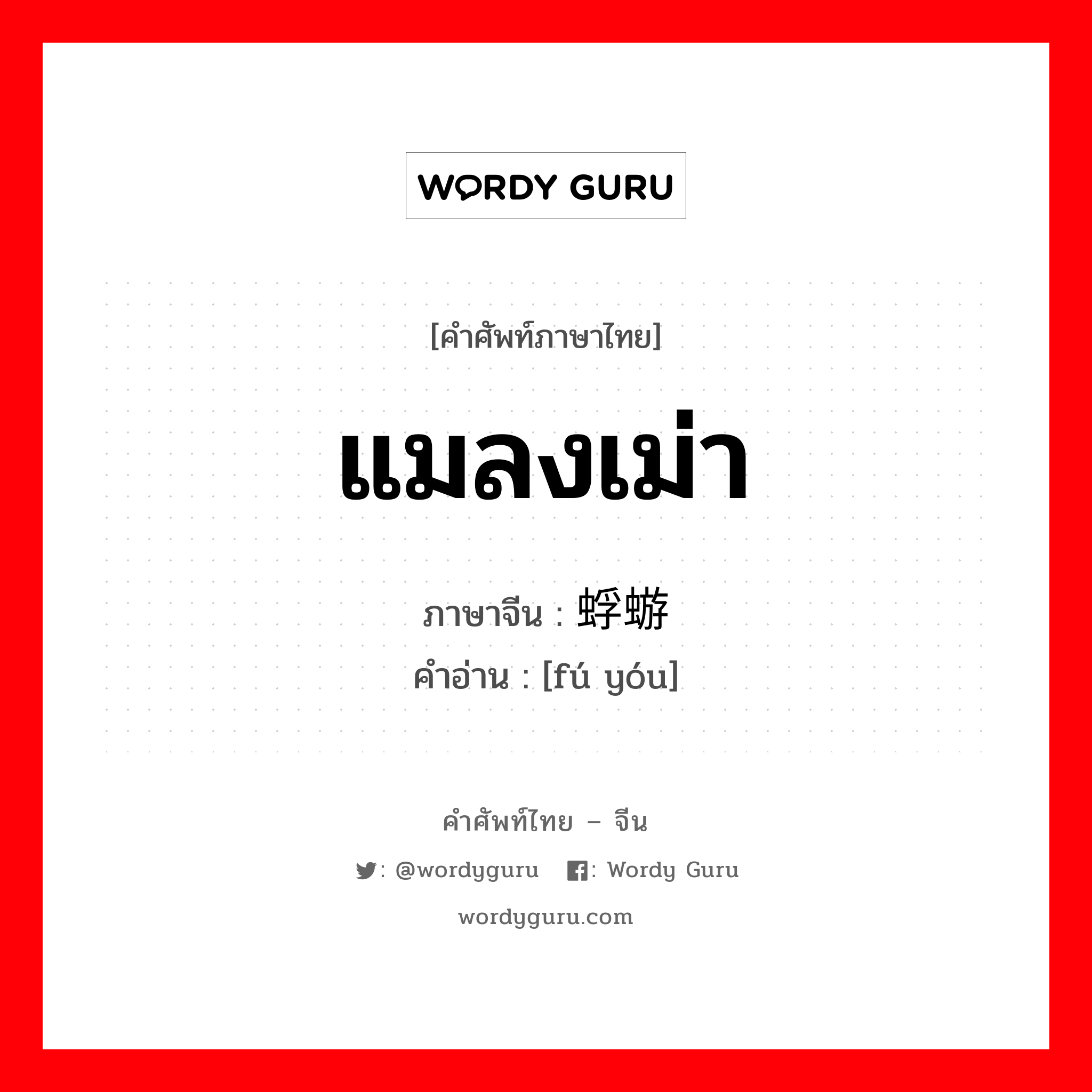 แมลงเม่า ภาษาจีนคืออะไร, คำศัพท์ภาษาไทย - จีน แมลงเม่า ภาษาจีน 蜉蝣 คำอ่าน [fú yóu]