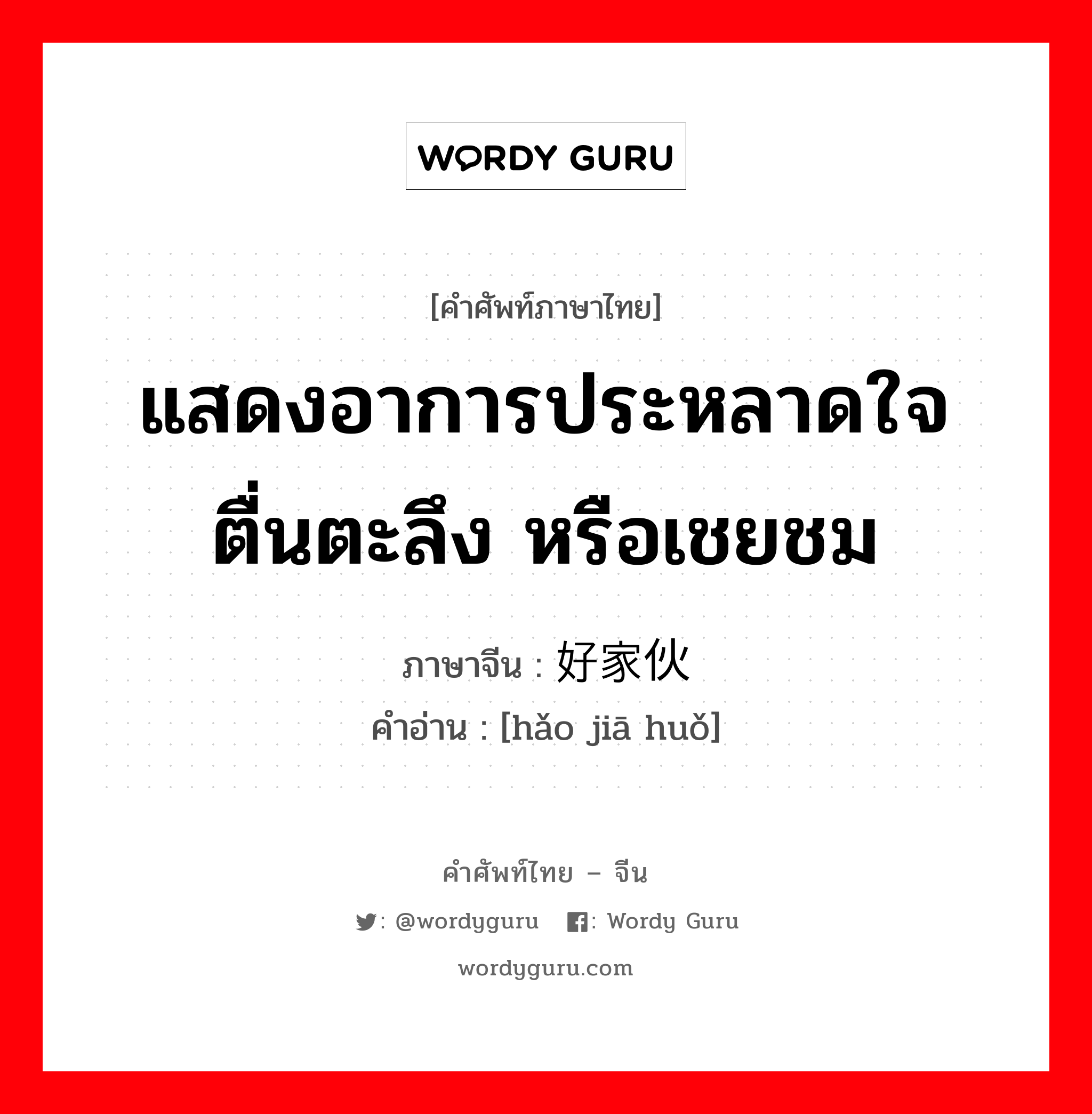 แสดงอาการประหลาดใจตื่นตะลึง หรือเชยชม ภาษาจีนคืออะไร, คำศัพท์ภาษาไทย - จีน แสดงอาการประหลาดใจตื่นตะลึง หรือเชยชม ภาษาจีน 好家伙 คำอ่าน [hǎo jiā huǒ]