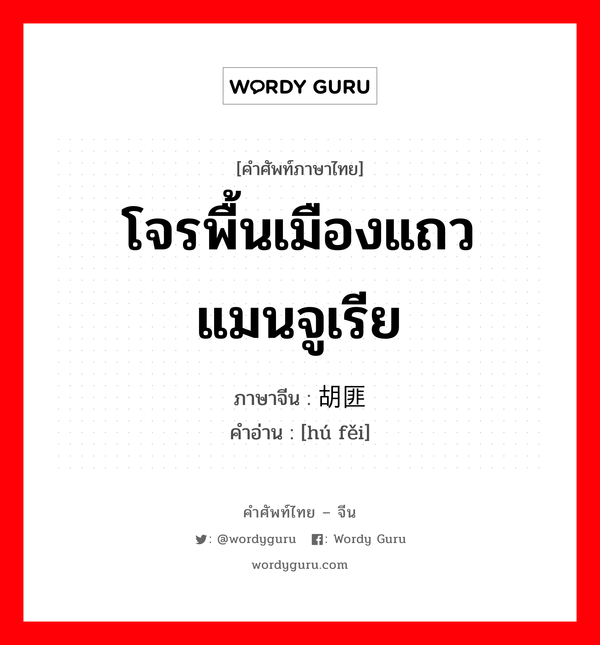 โจรพื้นเมืองแถวแมนจูเรีย ภาษาจีนคืออะไร, คำศัพท์ภาษาไทย - จีน โจรพื้นเมืองแถวแมนจูเรีย ภาษาจีน 胡匪 คำอ่าน [hú fěi]