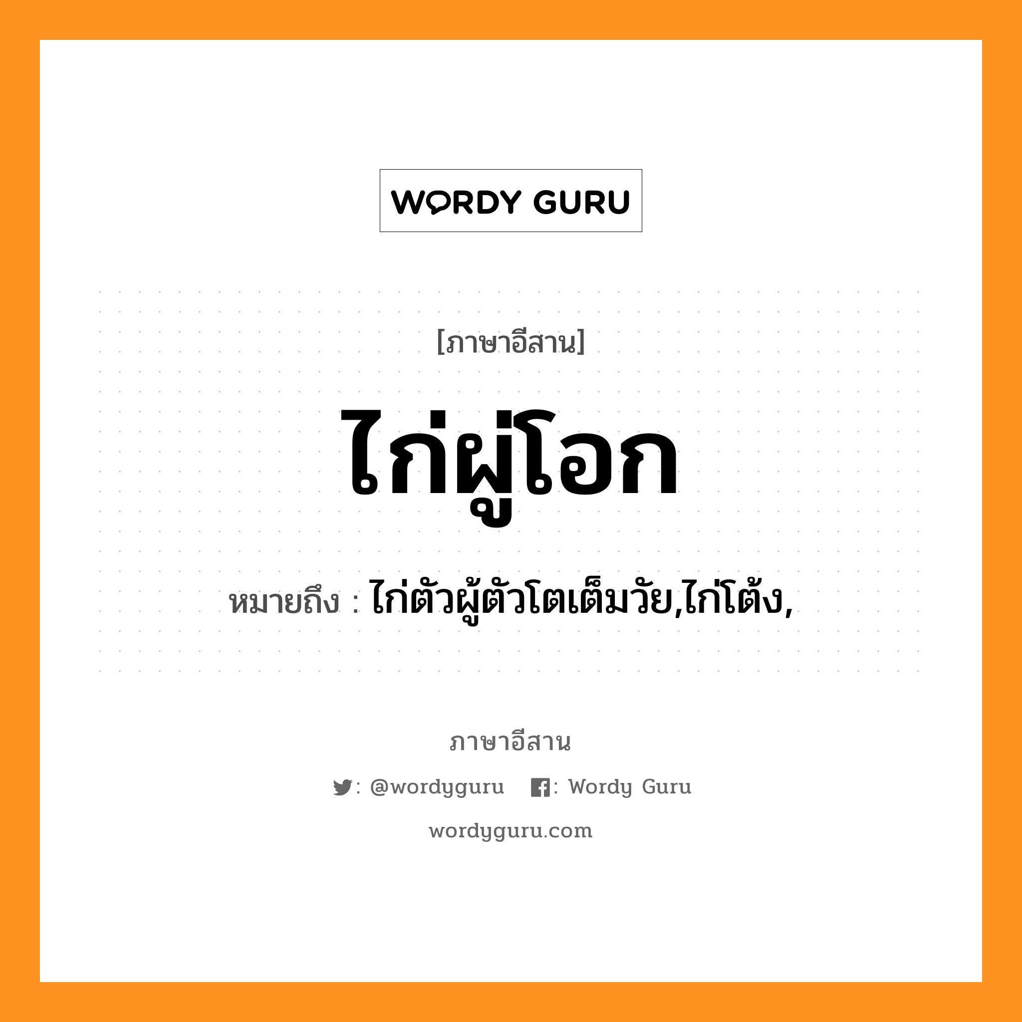 ไก่ผู่โอก หมายถึงอะไร, ภาษาอีสาน ไก่ผู่โอก หมายถึง ไก่ตัวผู้ตัวโตเต็มวัย,ไก่โต้ง, หมวด ไก่ - ผู้ - โอก