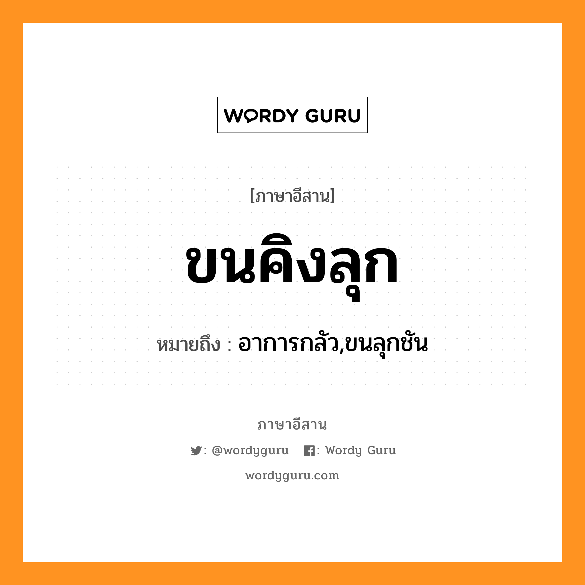 ขนคิงลุก หมายถึงอะไร, ภาษาอีสาน ขนคิงลุก หมายถึง อาการกลัว,ขนลุกชัน หมวด ขน - คิง - ลุก