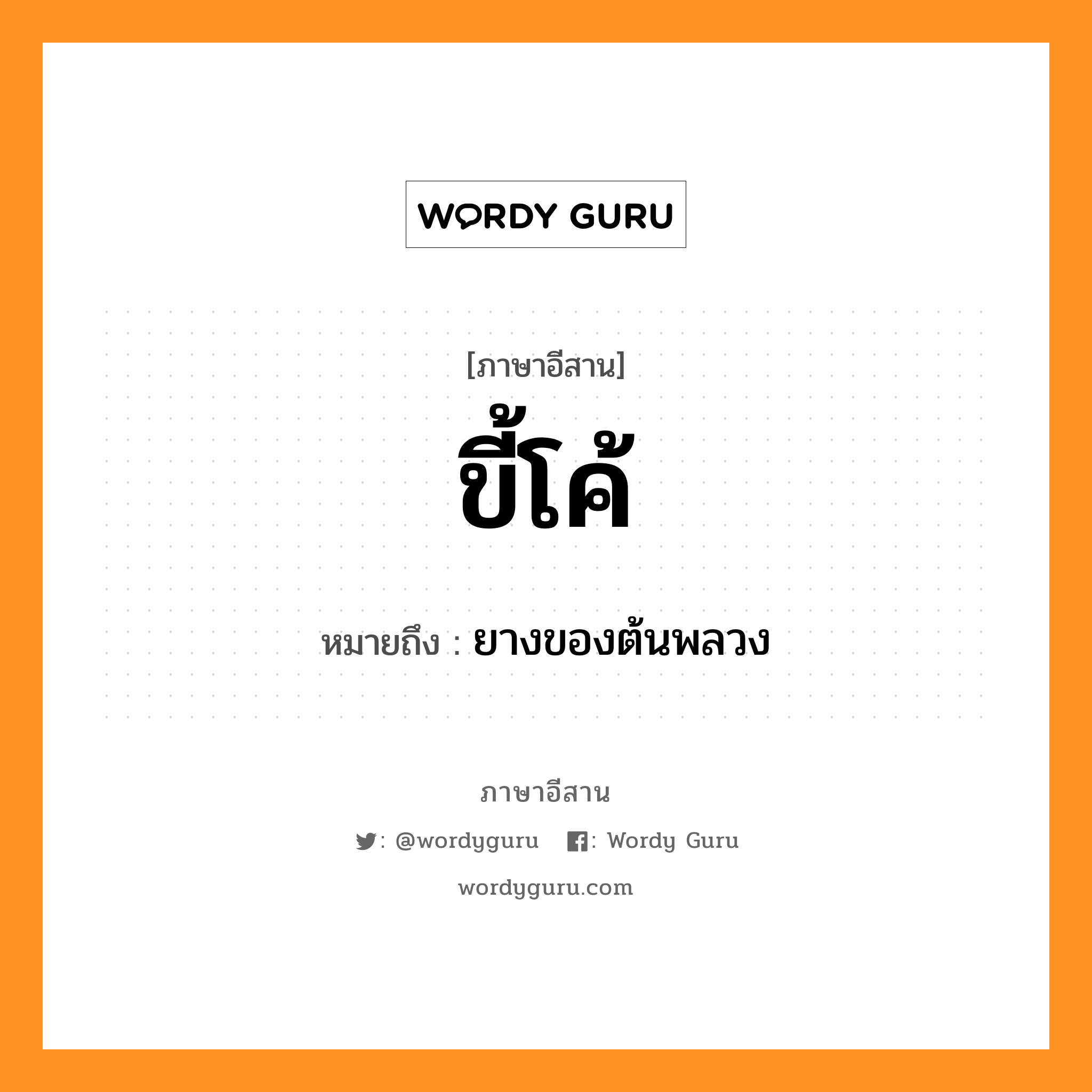 ขี้โค้ หมายถึงอะไร, ภาษาอีสาน ขี้โค้ หมายถึง ยางของต้นพลวง หมวด ขี้ - โค้