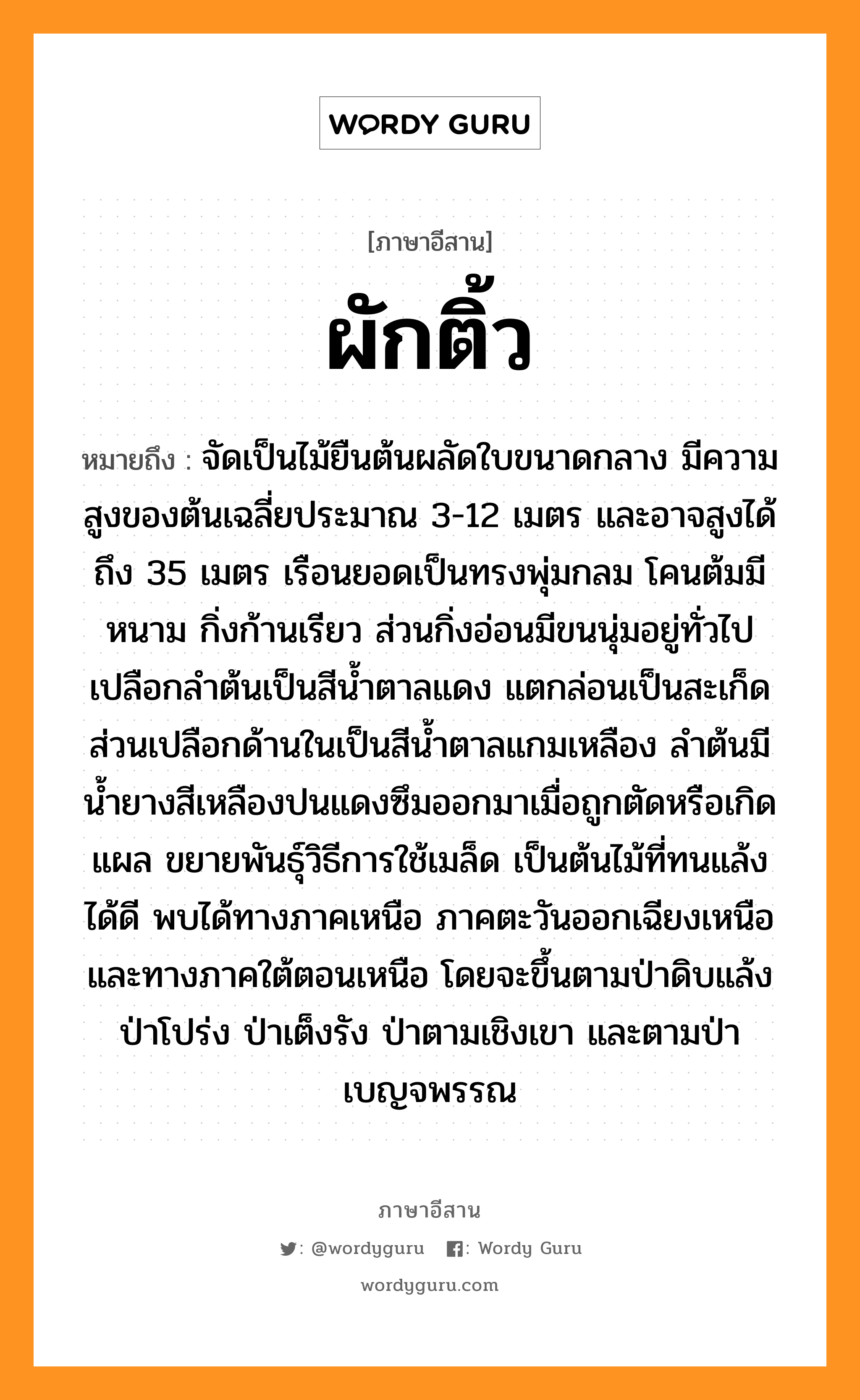 ผักติ้ว หมายถึงอะไร, ภาษาอีสาน ผักติ้ว หมายถึง จัดเป็นไม้ยืนต้นผลัดใบขนาดกลาง มีความสูงของต้นเฉลี่ยประมาณ 3-12 เมตร และอาจสูงได้ถึง 35 เมตร เรือนยอดเป็นทรงพุ่มกลม โคนต้มมีหนาม กิ่งก้านเรียว ส่วนกิ่งอ่อนมีขนนุ่มอยู่ทั่วไป เปลือกลำต้นเป็นสีน้ำตาลแดง แตกล่อนเป็นสะเก็ด ส่วนเปลือกด้านในเป็นสีน้ำตาลแกมเหลือง ลำต้นมีน้ำยางสีเหลืองปนแดงซึมออกมาเมื่อถูกตัดหรือเกิดแผล ขยายพันธุ์วิธีการใช้เมล็ด เป็นต้นไม้ที่ทนแล้งได้ดี พบได้ทางภาคเหนือ ภาคตะวันออกเฉียงเหนือ และทางภาคใต้ตอนเหนือ โดยจะขึ้นตามป่าดิบแล้ง ป่าโปร่ง ป่าเต็งรัง ป่าตามเชิงเขา และตามป่าเบญจพรรณ หมวด ผัก-ติ้ว