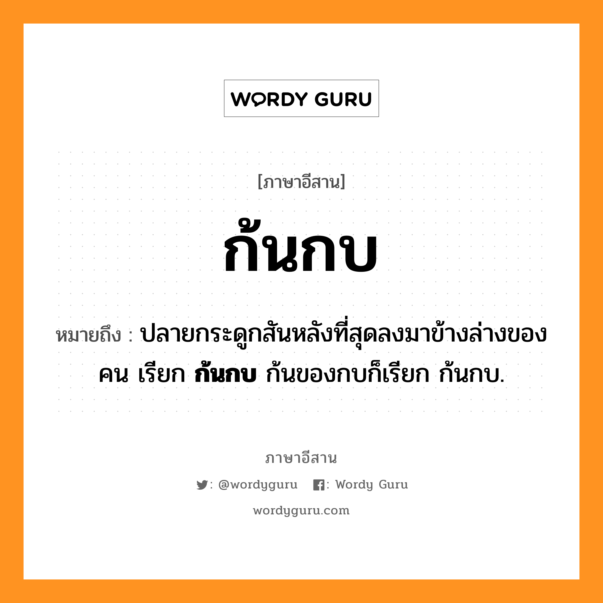 ก้นกบ หมายถึงอะไร, ภาษาอีสาน ก้นกบ หมายถึง ปลายกระดูกสันหลังที่สุดลงมาข้างล่างของคน เรียก &lt;b&gt;ก้นกบ&lt;/b&gt; ก้นของกบก็เรียก ก้นกบ. หมวด ก้น - กบ