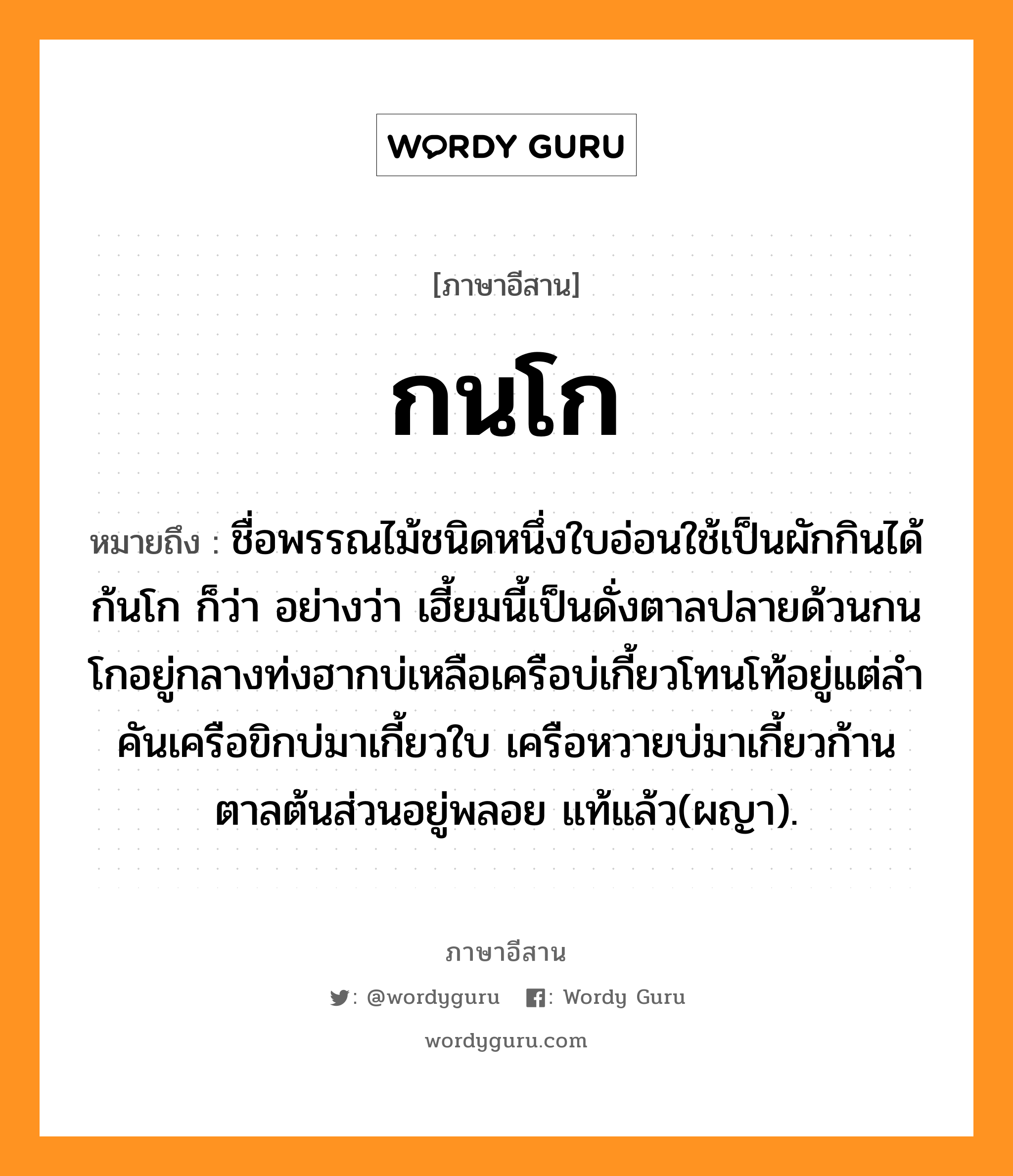 กนโก หมายถึงอะไร, ภาษาอีสาน กนโก หมายถึง ชื่อพรรณไม้ชนิดหนึ่งใบอ่อนใช้เป็นผักกินได้ ก้นโก ก็ว่า อย่างว่า เฮี้ยมนี้เป็นดั่งตาลปลายด้วนกนโกอยู่กลางท่งฮากบ่เหลือเครือบ่เกี้ยวโทนโท้อยู่แต่ลำคันเครือขิกบ่มาเกี้ยวใบ เครือหวายบ่มาเกี้ยวก้าน ตาลต้นส่วนอยู่พลอย แท้แล้ว(ผญา). หมวด กน - โก