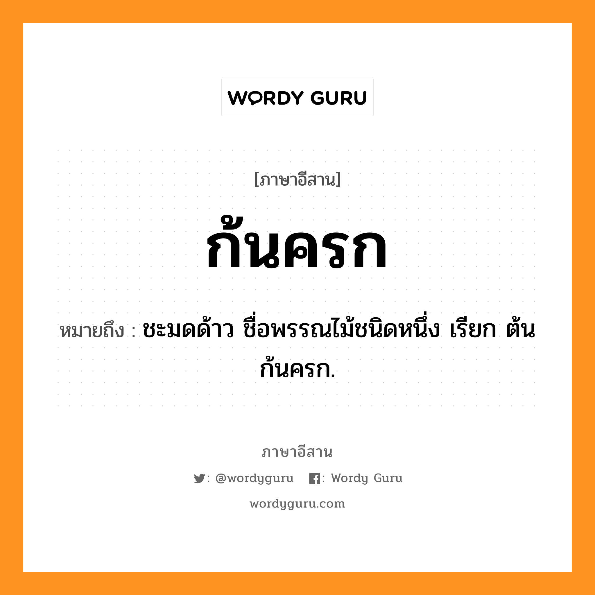 ก้นครก หมายถึงอะไร, ภาษาอีสาน ก้นครก หมายถึง ชะมดด้าว ชื่อพรรณไม้ชนิดหนึ่ง เรียก ต้นก้นครก. หมวด ก้น - ครก