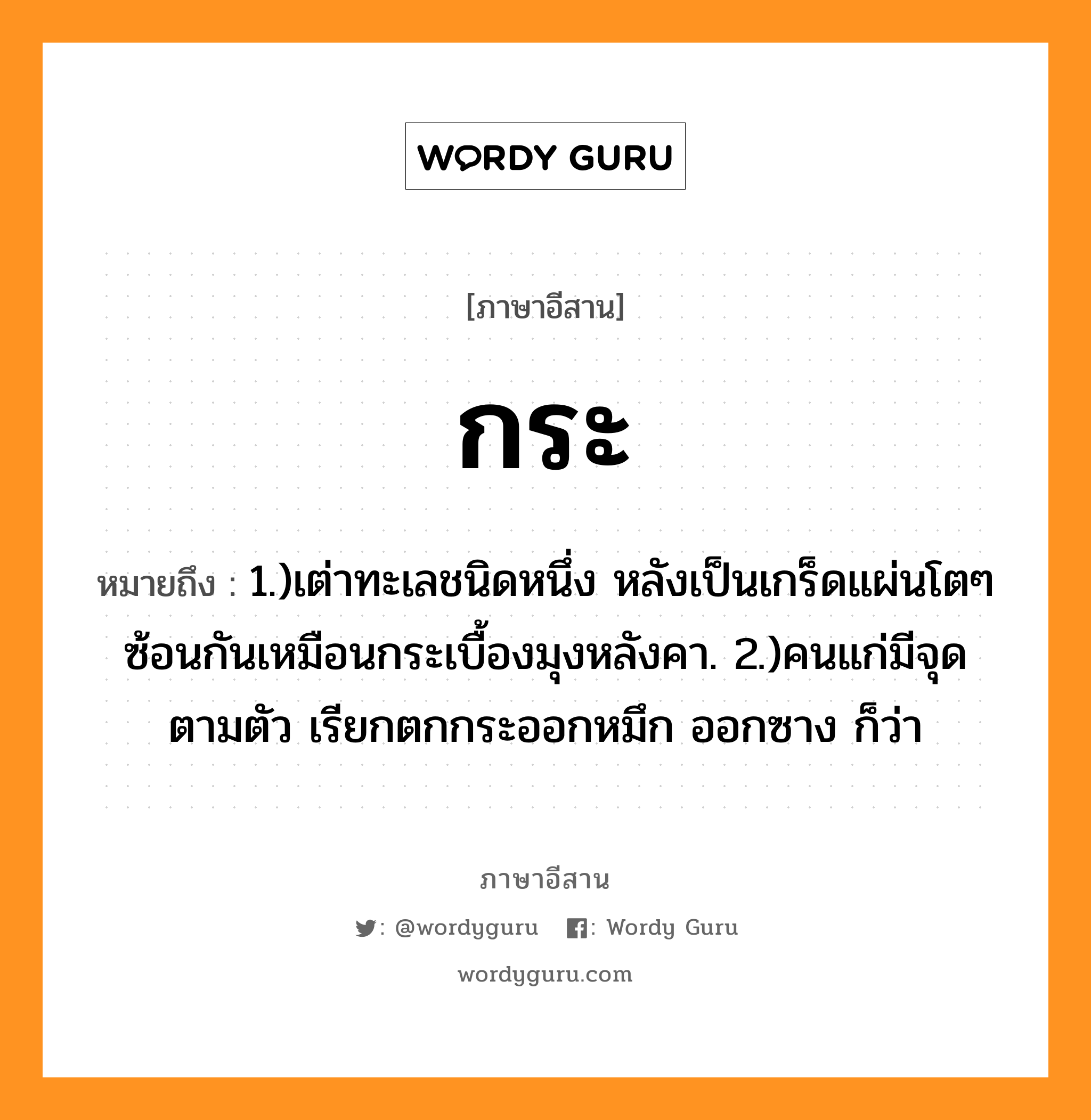 กระ หมายถึงอะไร, ภาษาอีสาน กระ หมายถึง 1.)เต่าทะเลชนิดหนึ่ง หลังเป็นเกร็ดแผ่นโตๆ ซ้อนกันเหมือนกระเบื้องมุงหลังคา. 2.)คนแก่มีจุดตามตัว เรียกตกกระออกหมึก ออกซาง ก็ว่า หมวด กระ