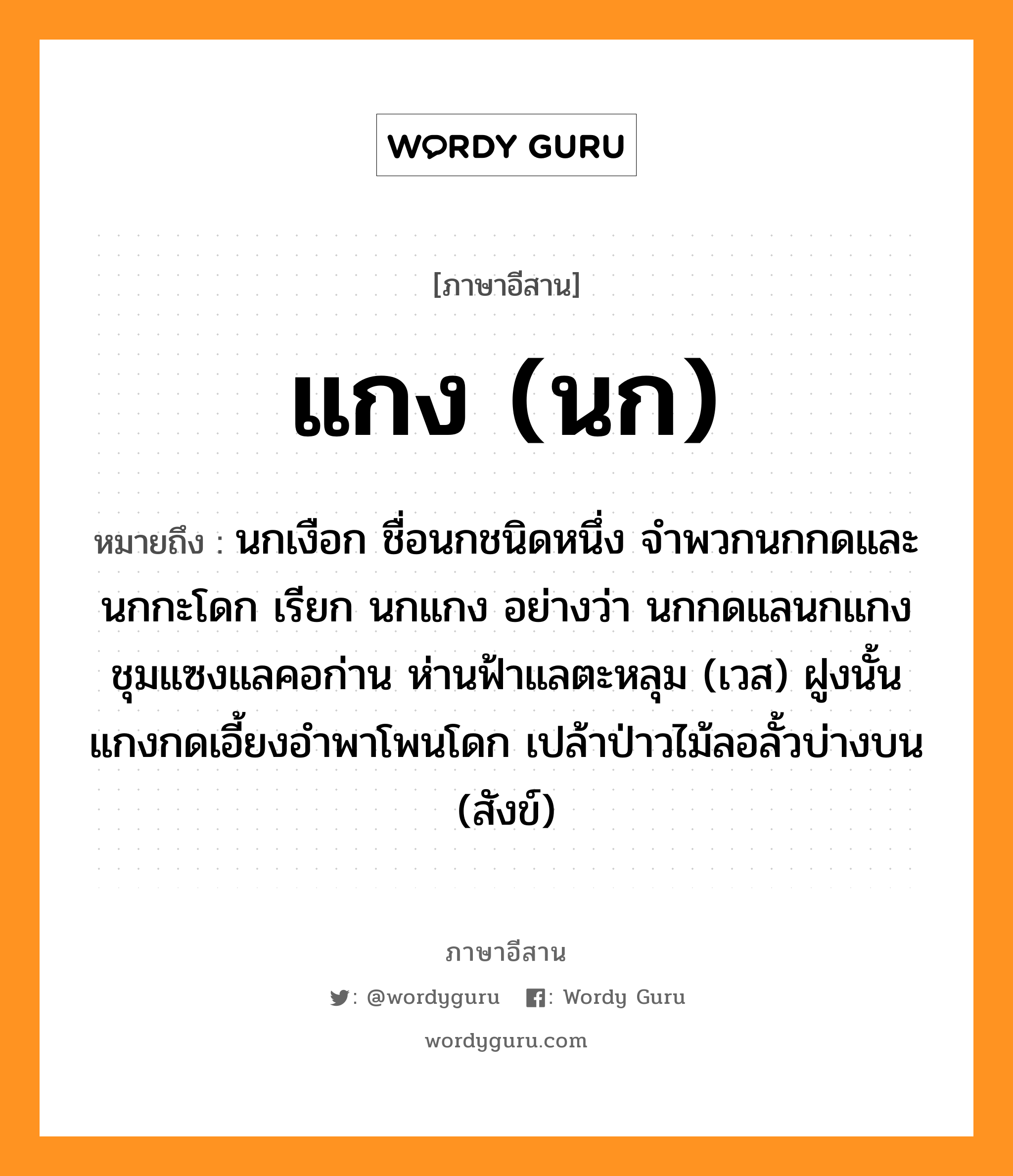 แกง (นก) หมายถึงอะไร, ภาษาอีสาน แกง (นก) หมายถึง นกเงือก ชื่อนกชนิดหนึ่ง จำพวกนกกดและนกกะโดก เรียก นกแกง อย่างว่า นกกดแลนกแกง ชุมแซงแลคอก่าน ห่านฟ้าแลตะหลุม (เวส) ฝูงนั้นแกงกดเอี้ยงอำพาโพนโดก เปล้าป่าวไม้ลอลั้วบ่างบน (สังข์) หมวด แกง