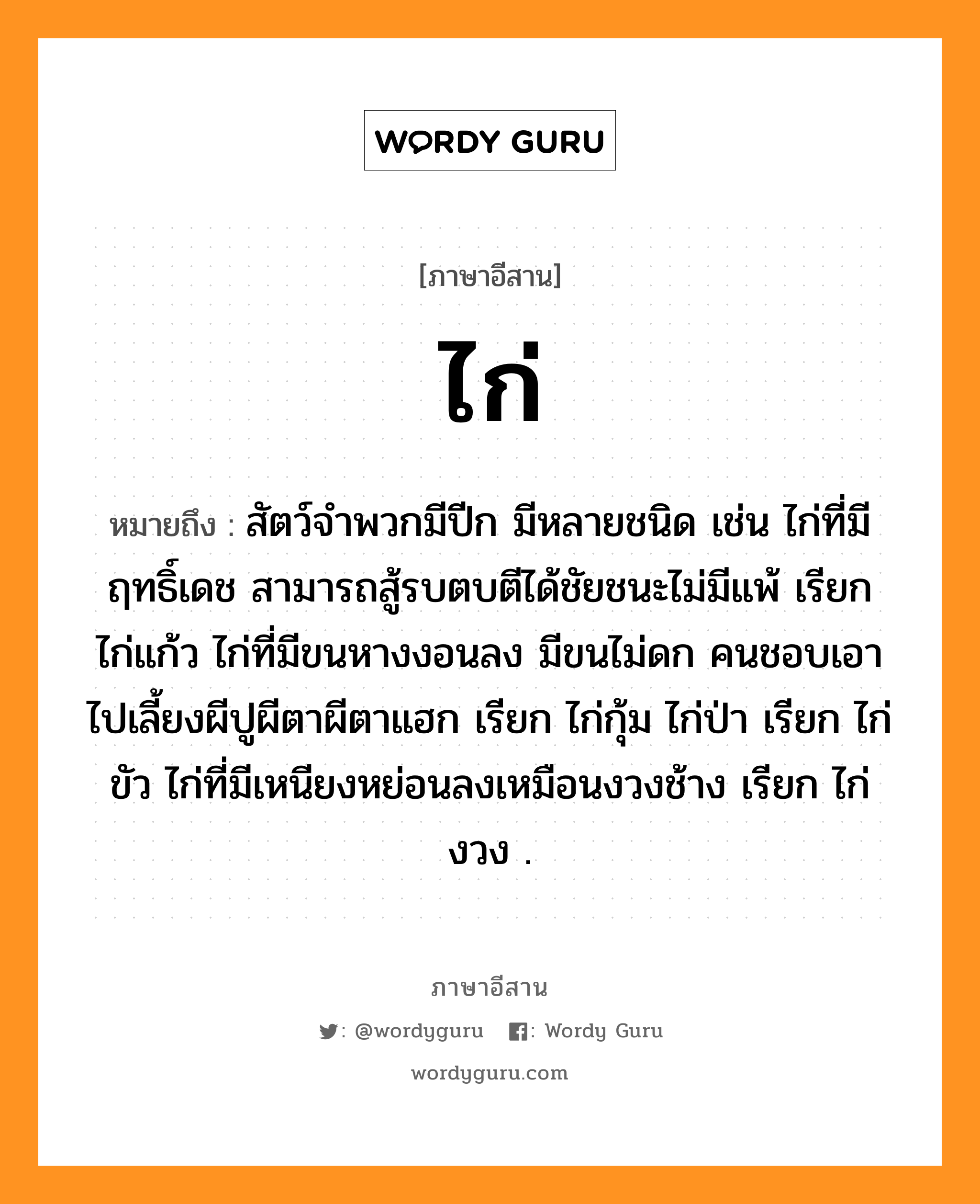 ไก่ หมายถึงอะไร, ภาษาอีสาน ไก่ หมายถึง สัตว์จำพวกมีปีก มีหลายชนิด เช่น ไก่ที่มีฤทธิ์เดช สามารถสู้รบตบตีได้ชัยชนะไม่มีแพ้ เรียก ไก่แก้ว ไก่ที่มีขนหางงอนลง มีขนไม่ดก คนชอบเอาไปเลี้ยงผีปูผีตาผีตาแฮก เรียก ไก่กุ้ม ไก่ป่า เรียก ไก่ขัว ไก่ที่มีเหนียงหย่อนลงเหมือนงวงช้าง เรียก ไก่งวง . หมวด ไก่