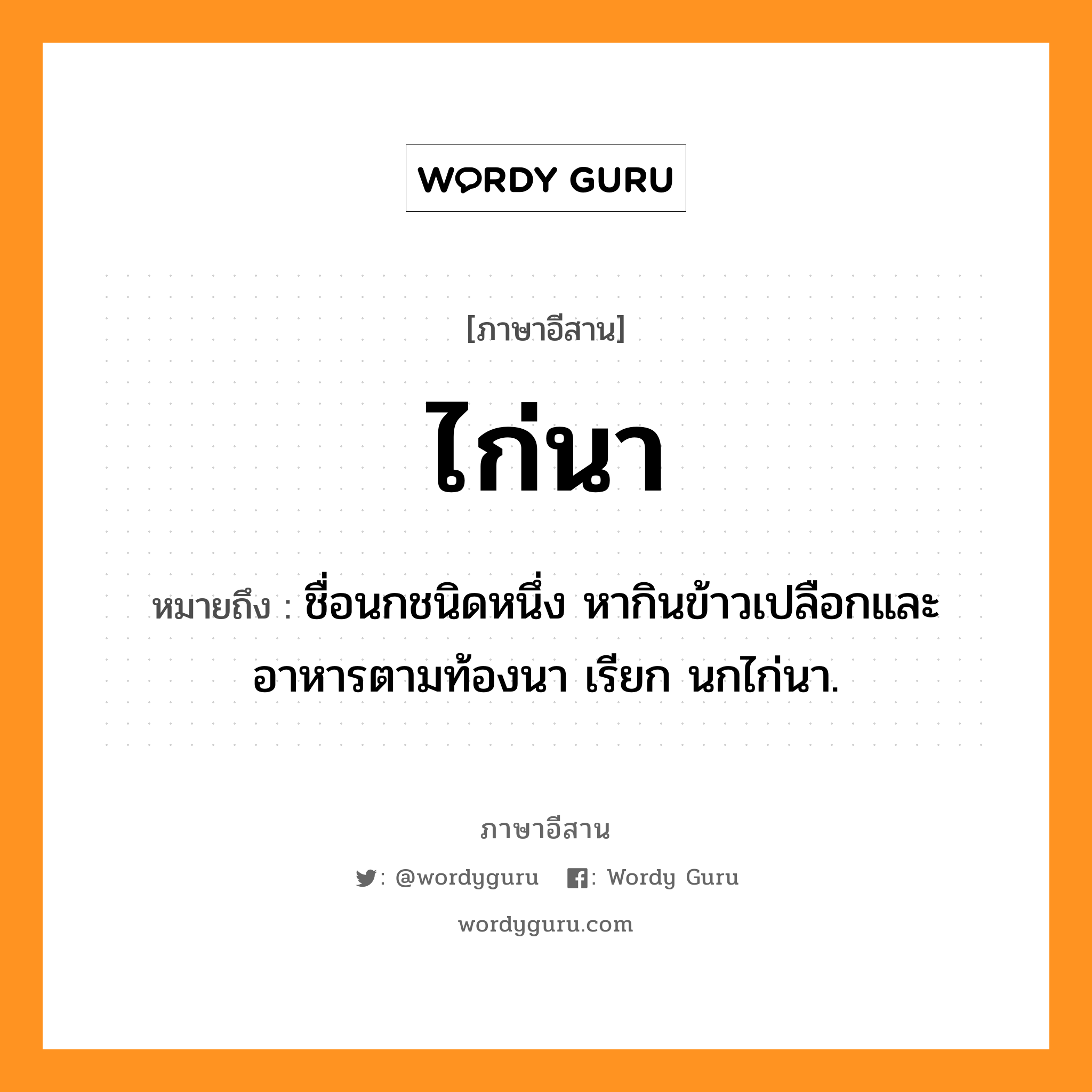 ไก่นา หมายถึงอะไร, ภาษาอีสาน ไก่นา หมายถึง ชื่อนกชนิดหนึ่ง หากินข้าวเปลือกและอาหารตามท้องนา เรียก นกไก่นา. หมวด ไก่ - นา