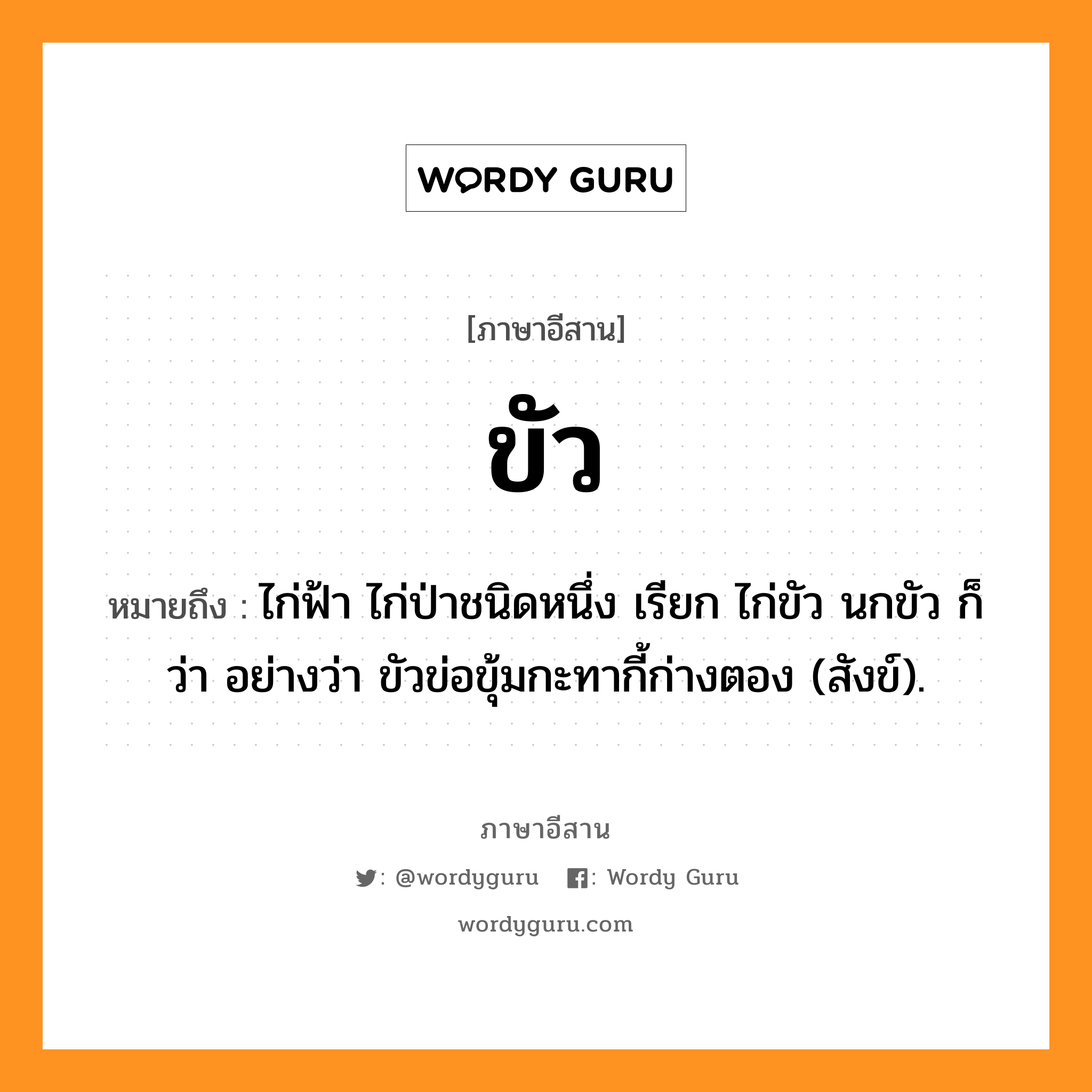 ขัว หมายถึงอะไร, ภาษาอีสาน ขัว หมายถึง ไก่ฟ้า ไก่ป่าชนิดหนึ่ง เรียก ไก่ขัว นกขัว ก็ว่า อย่างว่า ขัวข่อขุ้มกะทากี้ก่างตอง (สังข์). หมวด ขัว