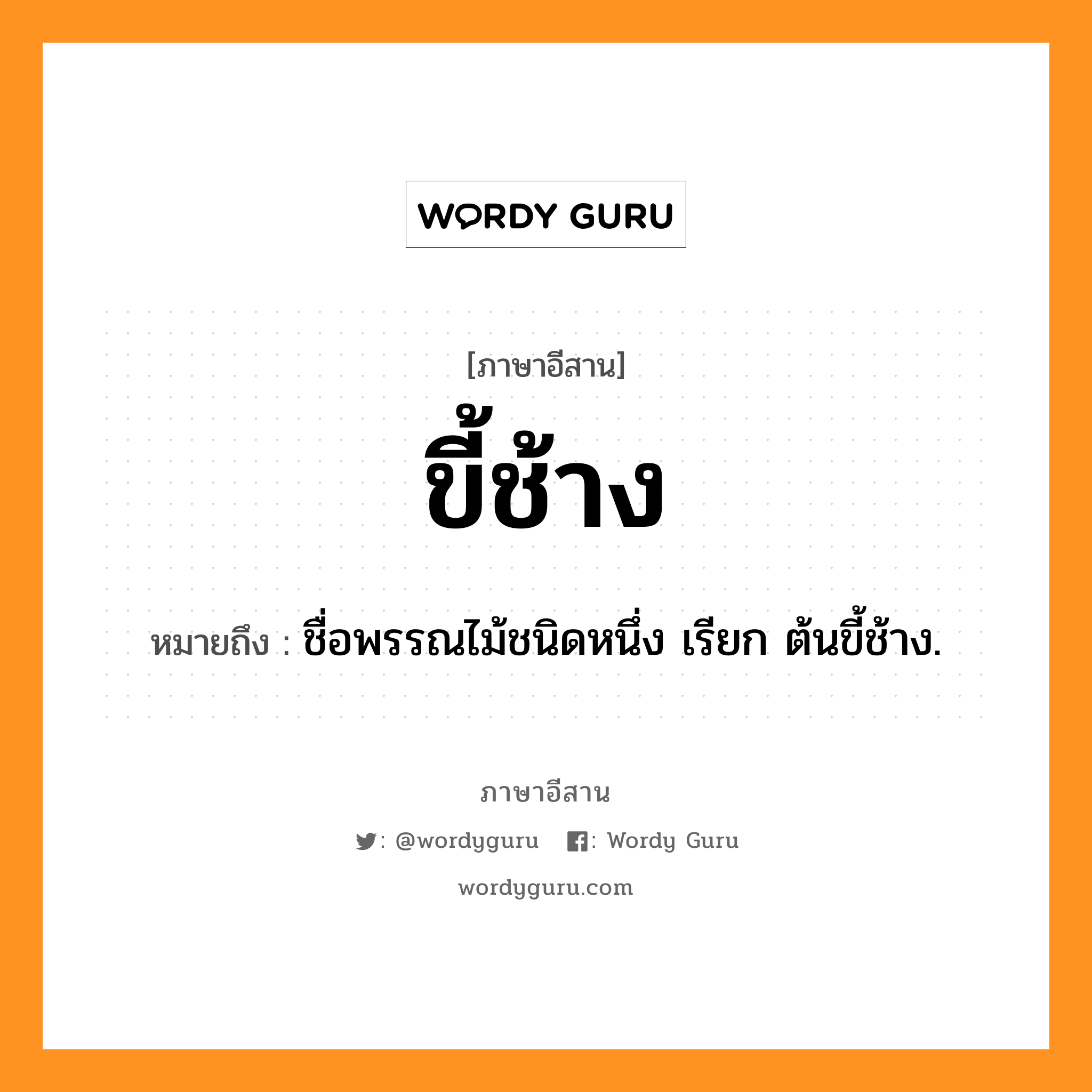 ขี้ช้าง หมายถึงอะไร, ภาษาอีสาน ขี้ช้าง หมายถึง ชื่อพรรณไม้ชนิดหนึ่ง เรียก ต้นขี้ช้าง. หมวด ขี้ - ช้าง