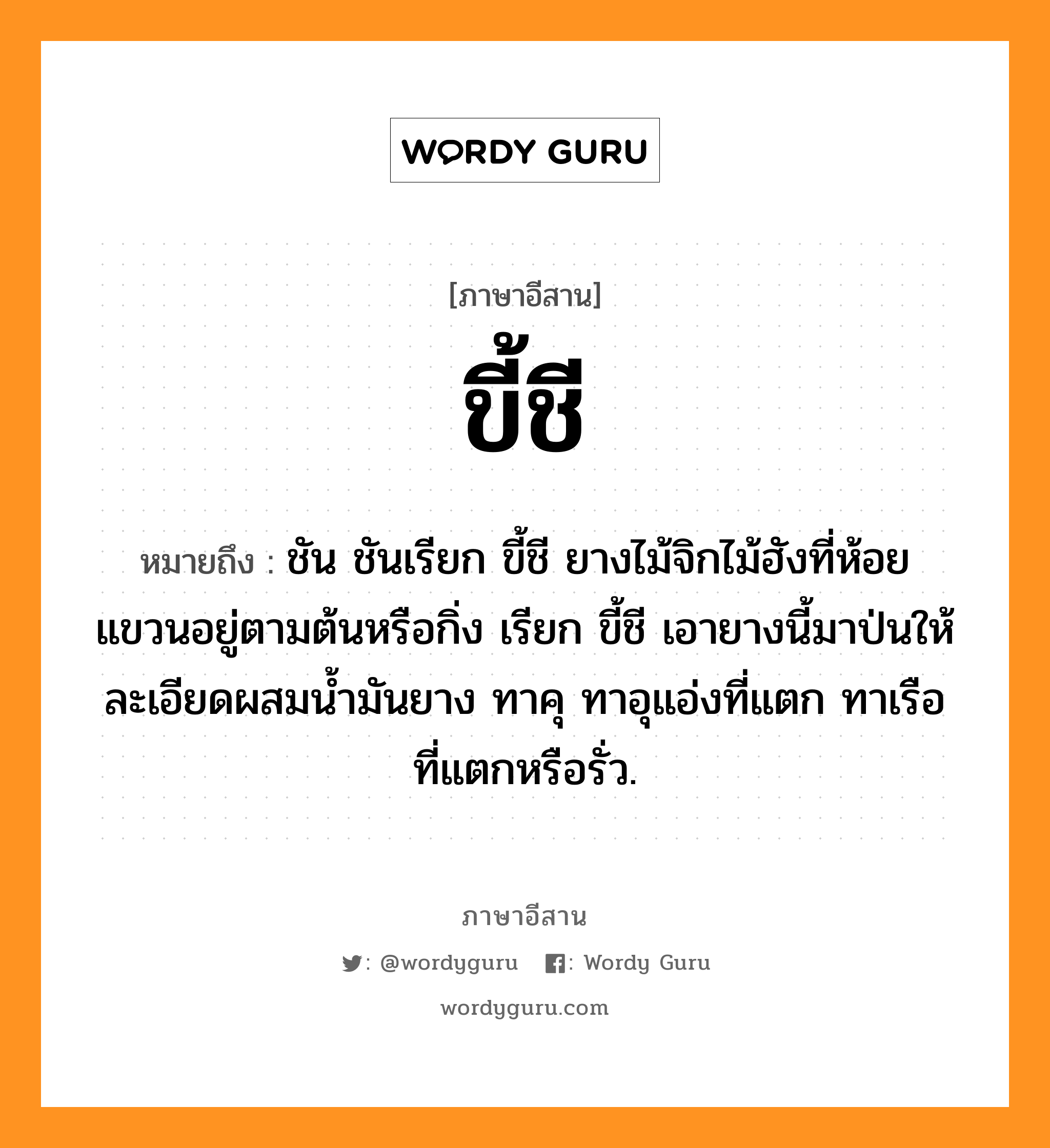 ขี้ชี หมายถึงอะไร, ภาษาอีสาน ขี้ชี หมายถึง ชัน ชันเรียก ขี้ชี ยางไม้จิกไม้ฮังที่ห้อยแขวนอยู่ตามต้นหรือกิ่ง เรียก ขี้ชี เอายางนี้มาป่นให้ละเอียดผสมน้ำมันยาง ทาคุ ทาอุแอ่งที่แตก ทาเรือที่แตกหรือรั่ว. หมวด ขี้ - ชี