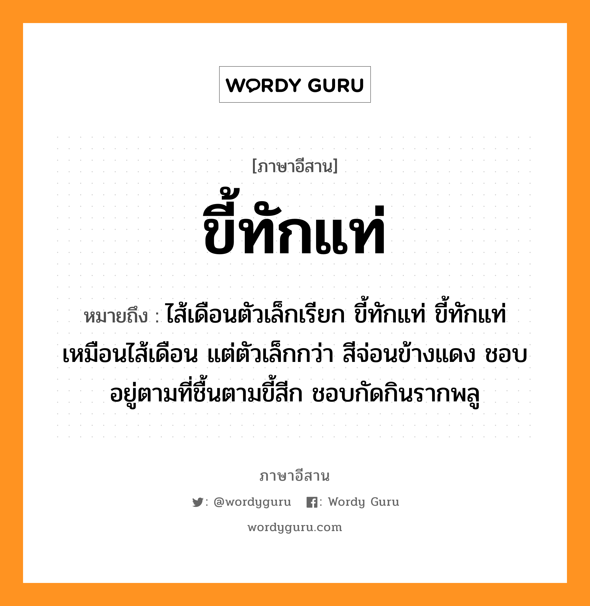 ขี้ทักแท่ หมายถึงอะไร, ภาษาอีสาน ขี้ทักแท่ หมายถึง ไส้เดือนตัวเล็กเรียก ขี้ทักแท่ ขี้ทักแท่เหมือนไส้เดือน แต่ตัวเล็กกว่า สีจ่อนข้างแดง ชอบอยู่ตามที่ชื้นตามขี้สีก ชอบกัดกินรากพลู หมวด ขี้ - ทัก - แท่