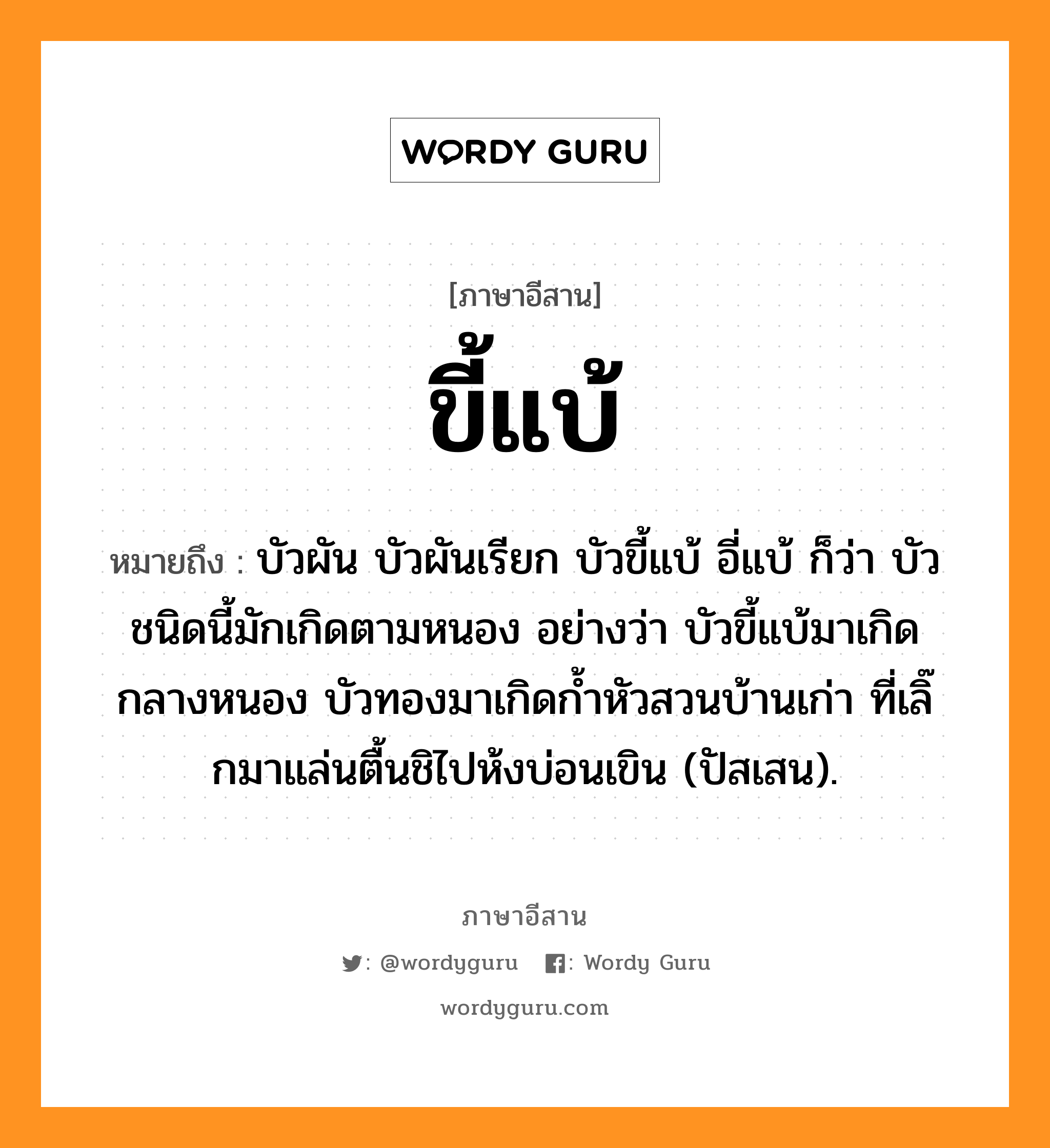 ขี้แบ้ หมายถึงอะไร, ภาษาอีสาน ขี้แบ้ หมายถึง บัวผัน บัวผันเรียก บัวขี้แบ้ อี่แบ้ ก็ว่า บัวชนิดนี้มักเกิดตามหนอง อย่างว่า บัวขี้แบ้มาเกิดกลางหนอง บัวทองมาเกิดก้ำหัวสวนบ้านเก่า ที่เลิ๊กมาแล่นตื้นชิไปห้งบ่อนเขิน (ปัสเสน). หมวด ขี้ - แบ้