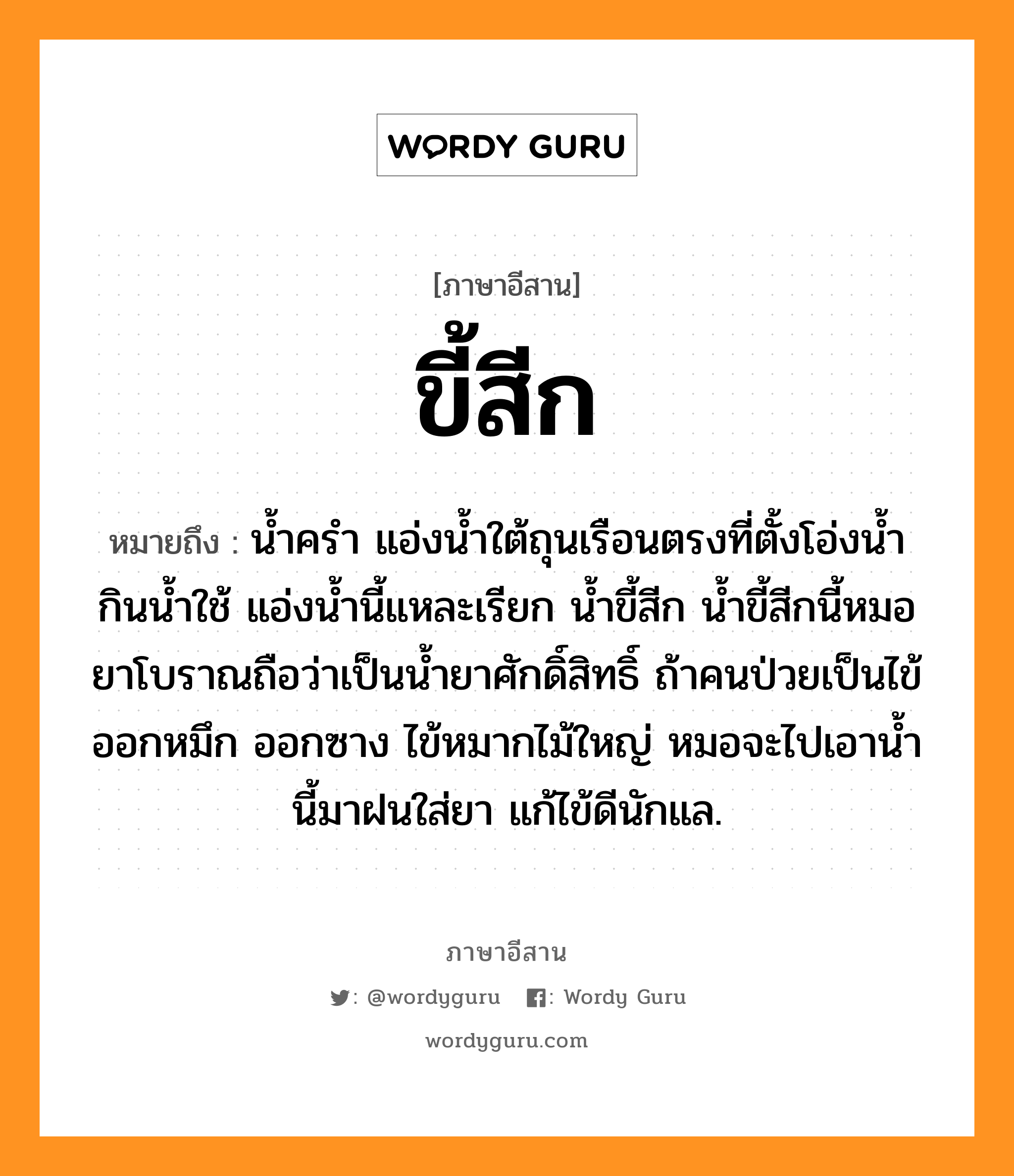 ขี้สีก หมายถึงอะไร, ภาษาอีสาน ขี้สีก หมายถึง น้ำครำ แอ่งน้ำใต้ถุนเรือนตรงที่ตั้งโอ่งน้ำกินน้ำใช้ แอ่งน้ำนี้แหละเรียก น้ำขี้สีก น้ำขี้สีกนี้หมอยาโบราณถือว่าเป็นน้ำยาศักดิ์สิทธิ์ ถ้าคนป่วยเป็นไข้ออกหมึก ออกซาง ไข้หมากไม้ใหญ่ หมอจะไปเอาน้ำนี้มาฝนใส่ยา แก้ไข้ดีนักแล. หมวด ขี้ - สีก