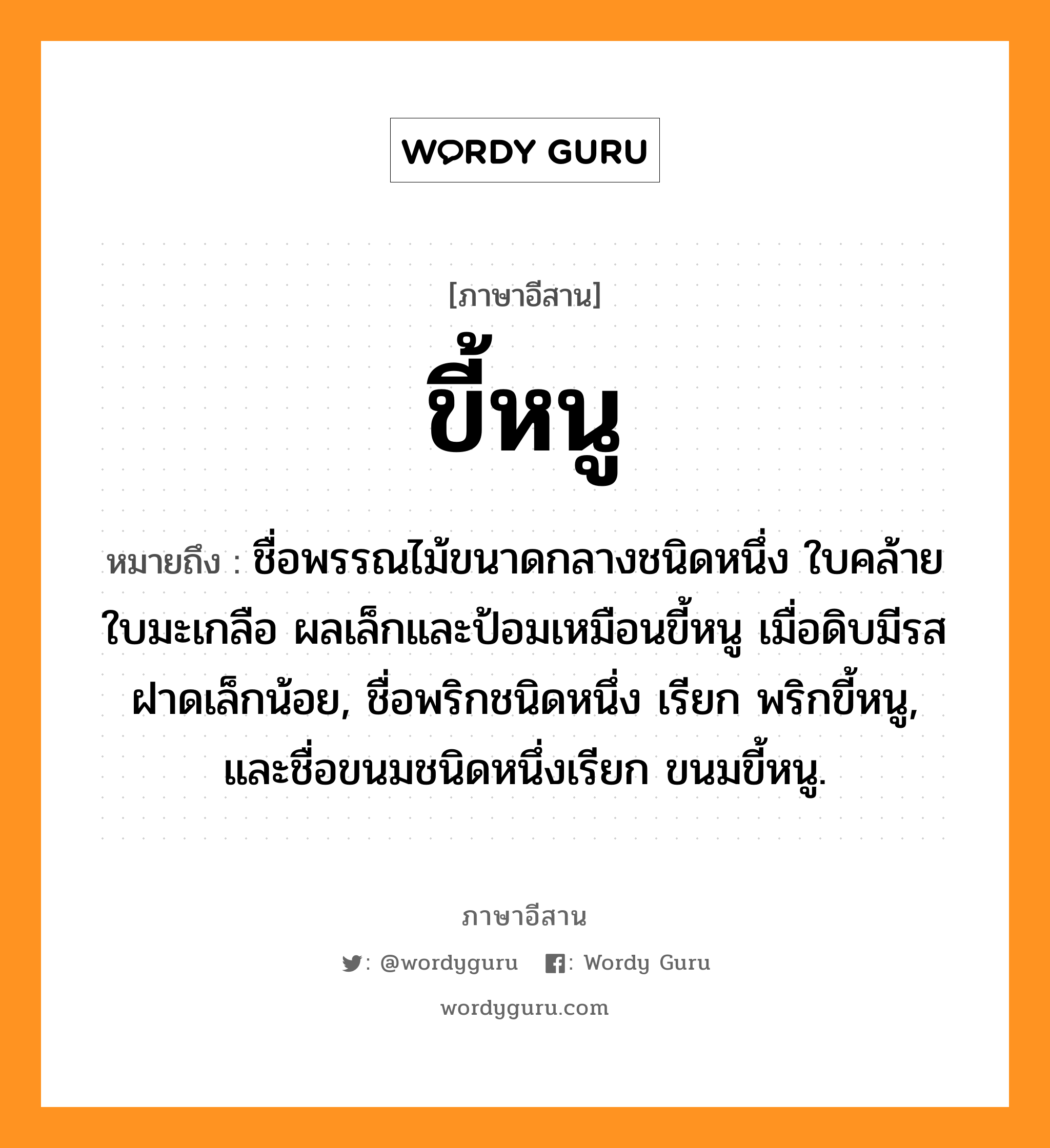 ขี้หนู หมายถึงอะไร, ภาษาอีสาน ขี้หนู หมายถึง ชื่อพรรณไม้ขนาดกลางชนิดหนึ่ง ใบคล้ายใบมะเกลือ ผลเล็กและป้อมเหมือนขี้หนู เมื่อดิบมีรสฝาดเล็กน้อย, ชื่อพริกชนิดหนึ่ง เรียก พริกขี้หนู, และชื่อขนมชนิดหนึ่งเรียก ขนมขี้หนู. หมวด ขี้ - หนู