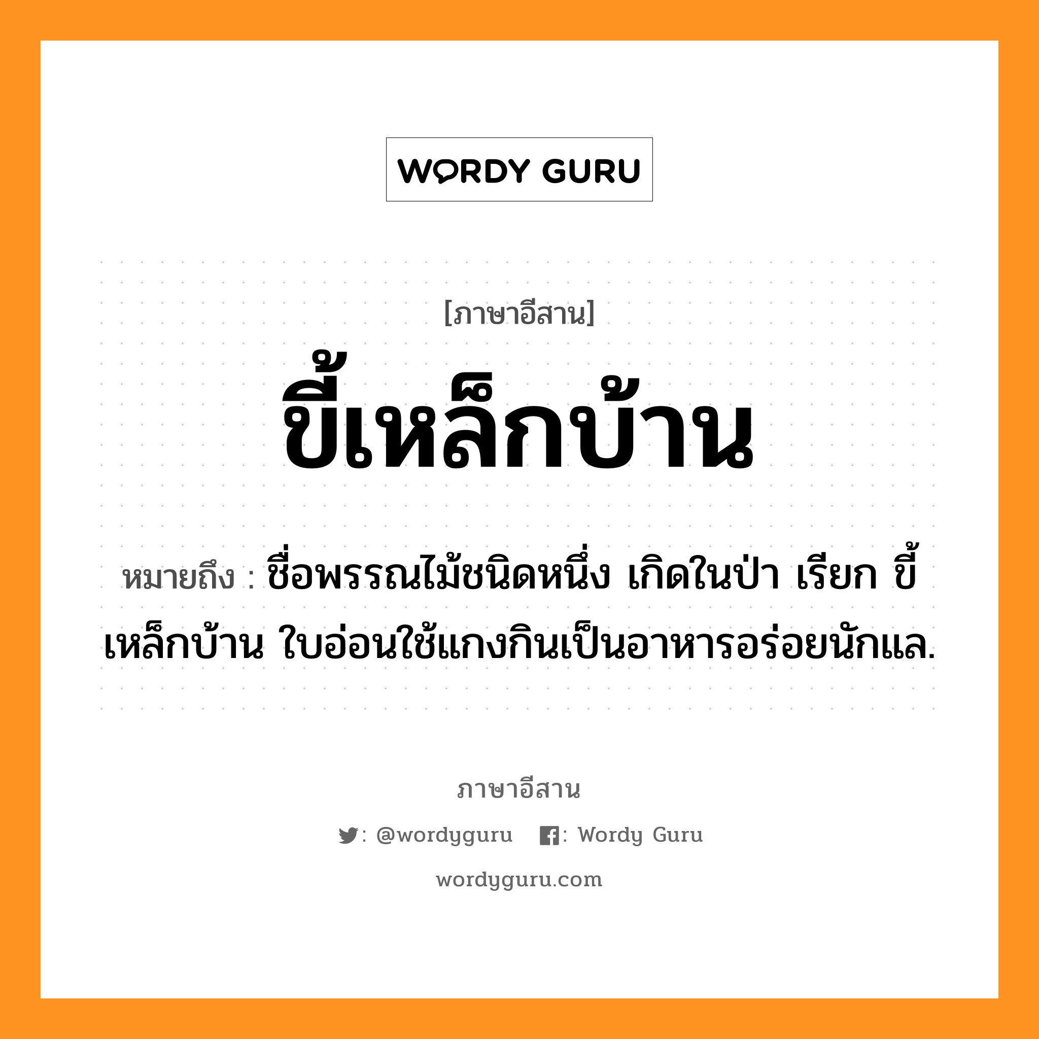 ขี้เหล็กบ้าน หมายถึงอะไร, ภาษาอีสาน ขี้เหล็กบ้าน หมายถึง ชื่อพรรณไม้ชนิดหนึ่ง เกิดในป่า เรียก ขี้เหล็กบ้าน ใบอ่อนใช้แกงกินเป็นอาหารอร่อยนักแล. หมวด ขี้ - เหล็ก - บ้าน