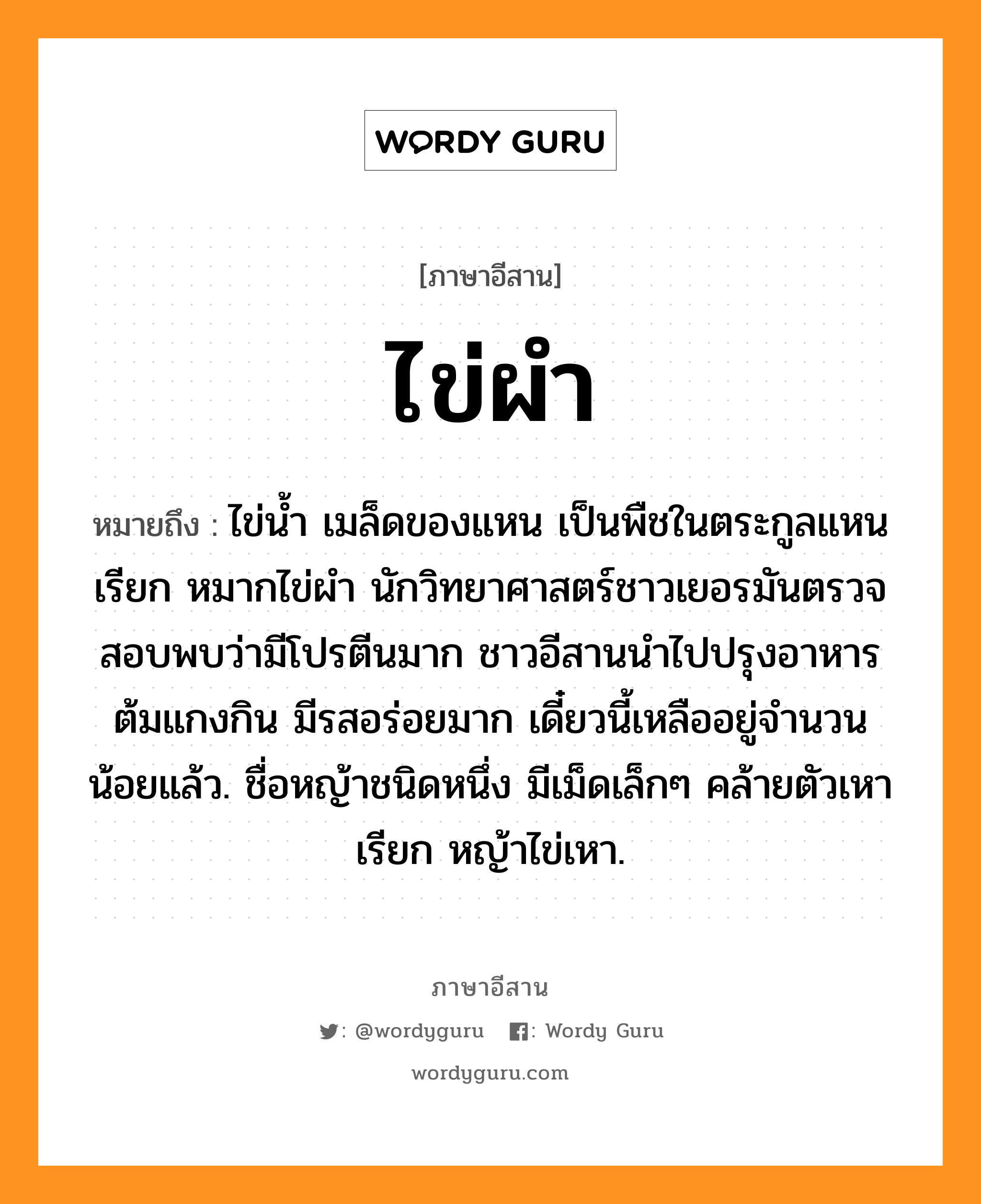 ไข่ผำ หมายถึงอะไร, ภาษาอีสาน ไข่ผำ หมายถึง ไข่น้ำ เมล็ดของแหน เป็นพืชในตระกูลแหน เรียก หมากไข่ผำ นักวิทยาศาสตร์ชาวเยอรมันตรวจสอบพบว่ามีโปรตีนมาก ชาวอีสานนำไปปรุงอาหารต้มแกงกิน มีรสอร่อยมาก เดี๋ยวนี้เหลืออยู่จำนวนน้อยแล้ว. ชื่อหญ้าชนิดหนึ่ง มีเม็ดเล็กๆ คล้ายตัวเหา เรียก หญ้าไข่เหา. หมวด ไข่ - ผำ