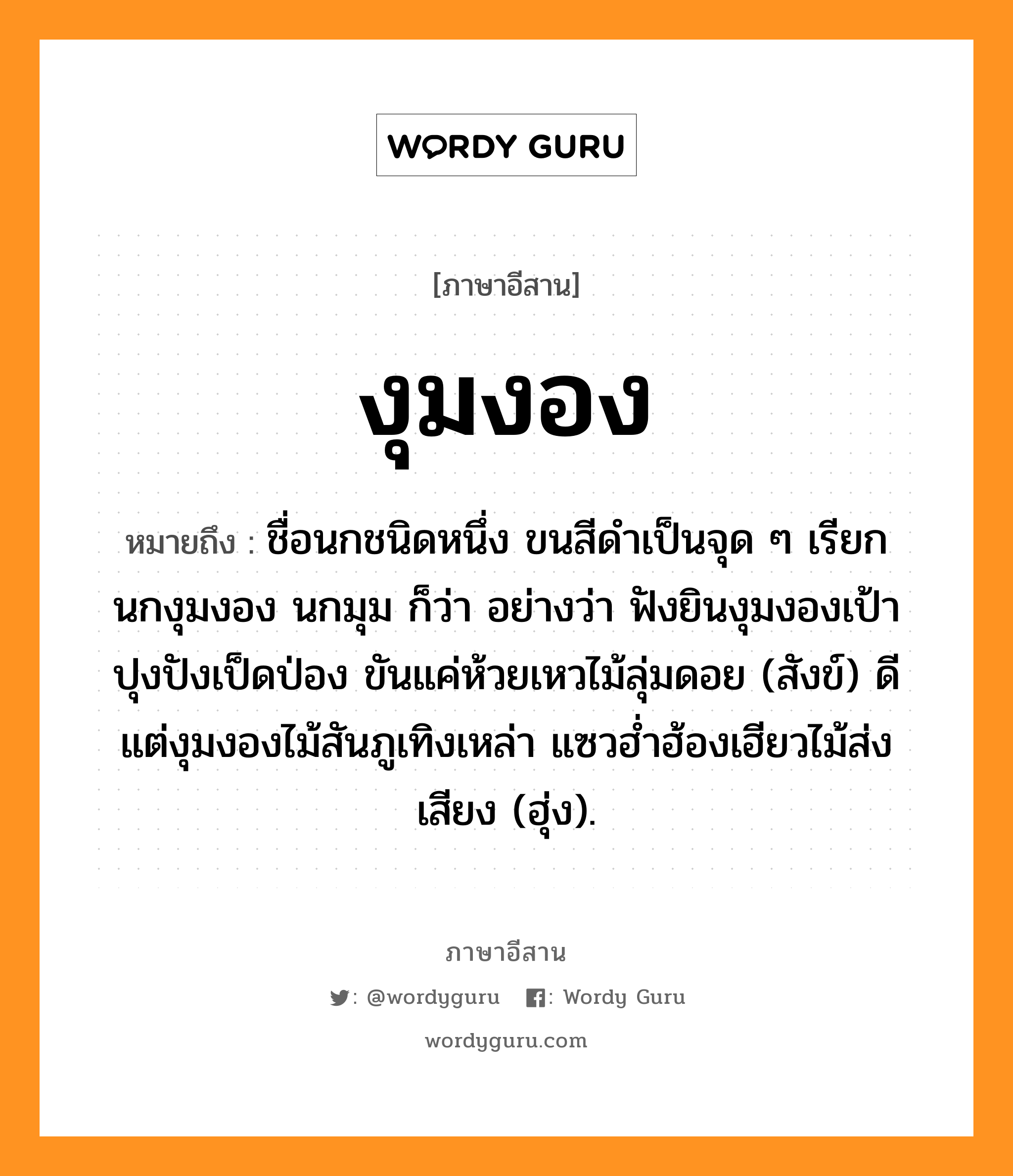 งุมงอง หมายถึงอะไร, ภาษาอีสาน งุมงอง หมายถึง ชื่อนกชนิดหนึ่ง ขนสีดำเป็นจุด ๆ เรียก นกงุมงอง นกมุม ก็ว่า อย่างว่า ฟังยินงุมงองเป้าปุงปังเป็ดป่อง ขันแค่ห้วยเหวไม้ลุ่มดอย (สังข์) ดีแต่งุมงองไม้สันภูเทิงเหล่า แซวฮ่ำฮ้องเฮียวไม้ส่งเสียง (ฮุ่ง). หมวด งุม - งอง