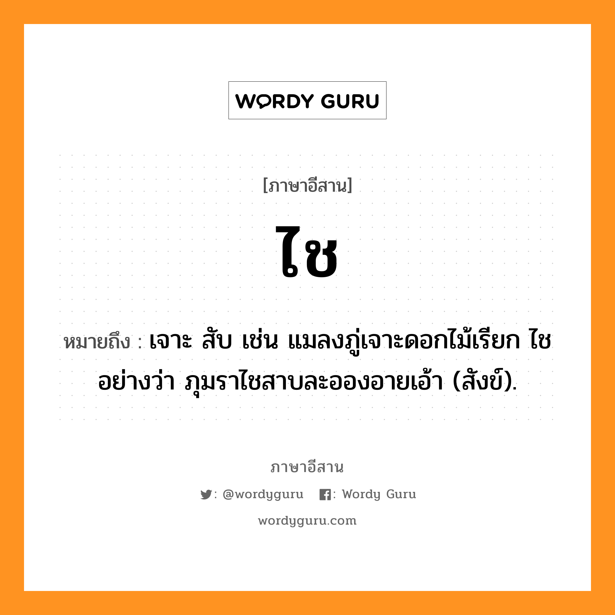 ไช หมายถึงอะไร, ภาษาอีสาน ไช หมายถึง เจาะ สับ เช่น แมลงภู่เจาะดอกไม้เรียก ไช อย่างว่า ภุมราไชสาบละอองอายเอ้า (สังข์). หมวด ไช