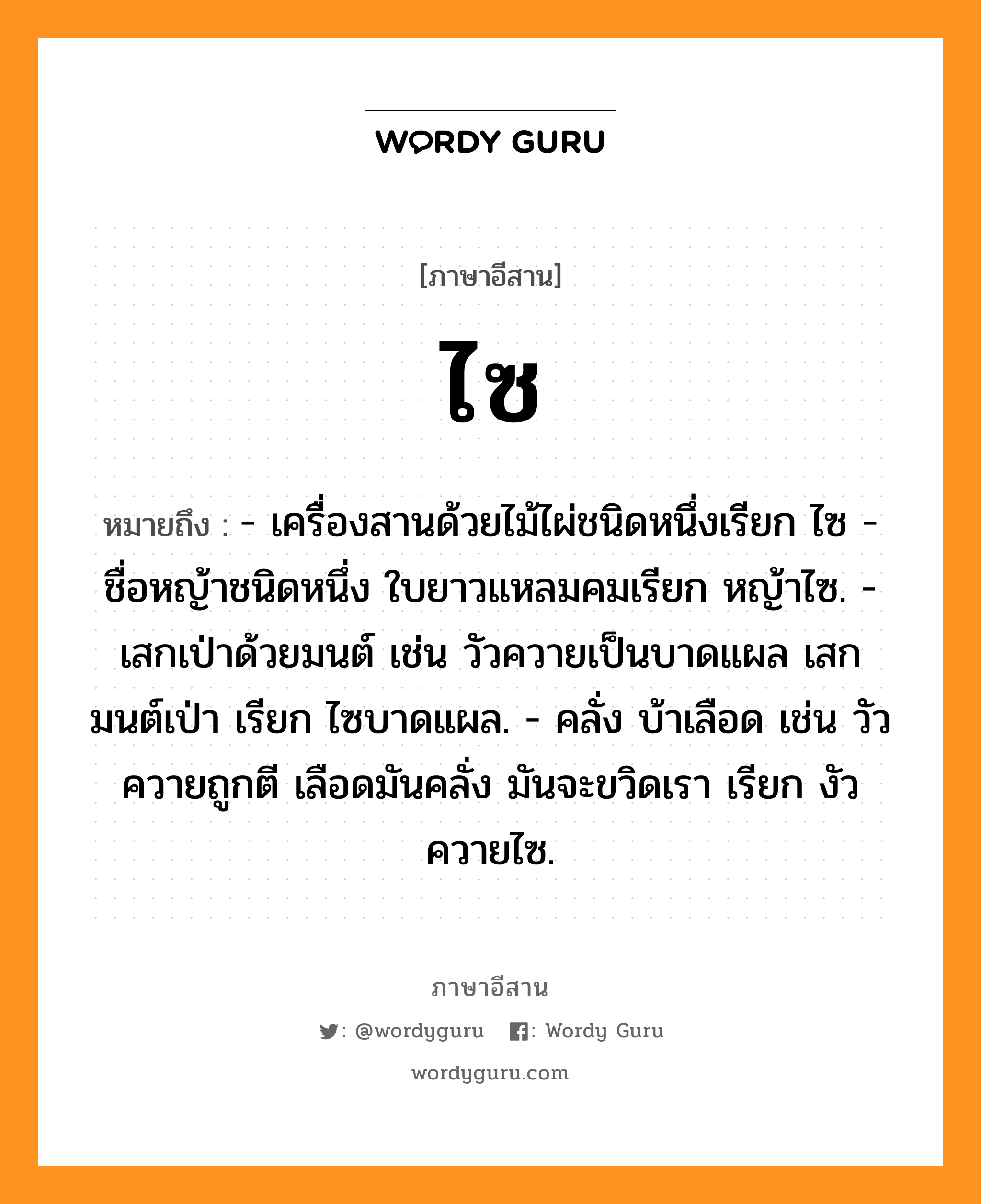 ไซ หมายถึงอะไร, ภาษาอีสาน ไซ หมายถึง - เครื่องสานด้วยไม้ไผ่ชนิดหนึ่งเรียก ไซ - ชื่อหญ้าชนิดหนึ่ง ใบยาวแหลมคมเรียก หญ้าไซ. - เสกเป่าด้วยมนต์ เช่น วัวควายเป็นบาดแผล เสกมนต์เป่า เรียก ไซบาดแผล. - คลั่ง บ้าเลือด เช่น วัวควายถูกตี เลือดมันคลั่ง มันจะขวิดเรา เรียก งัวควายไซ. หมวด ไซ